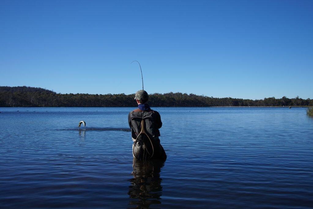 Trout Tales Tasmania