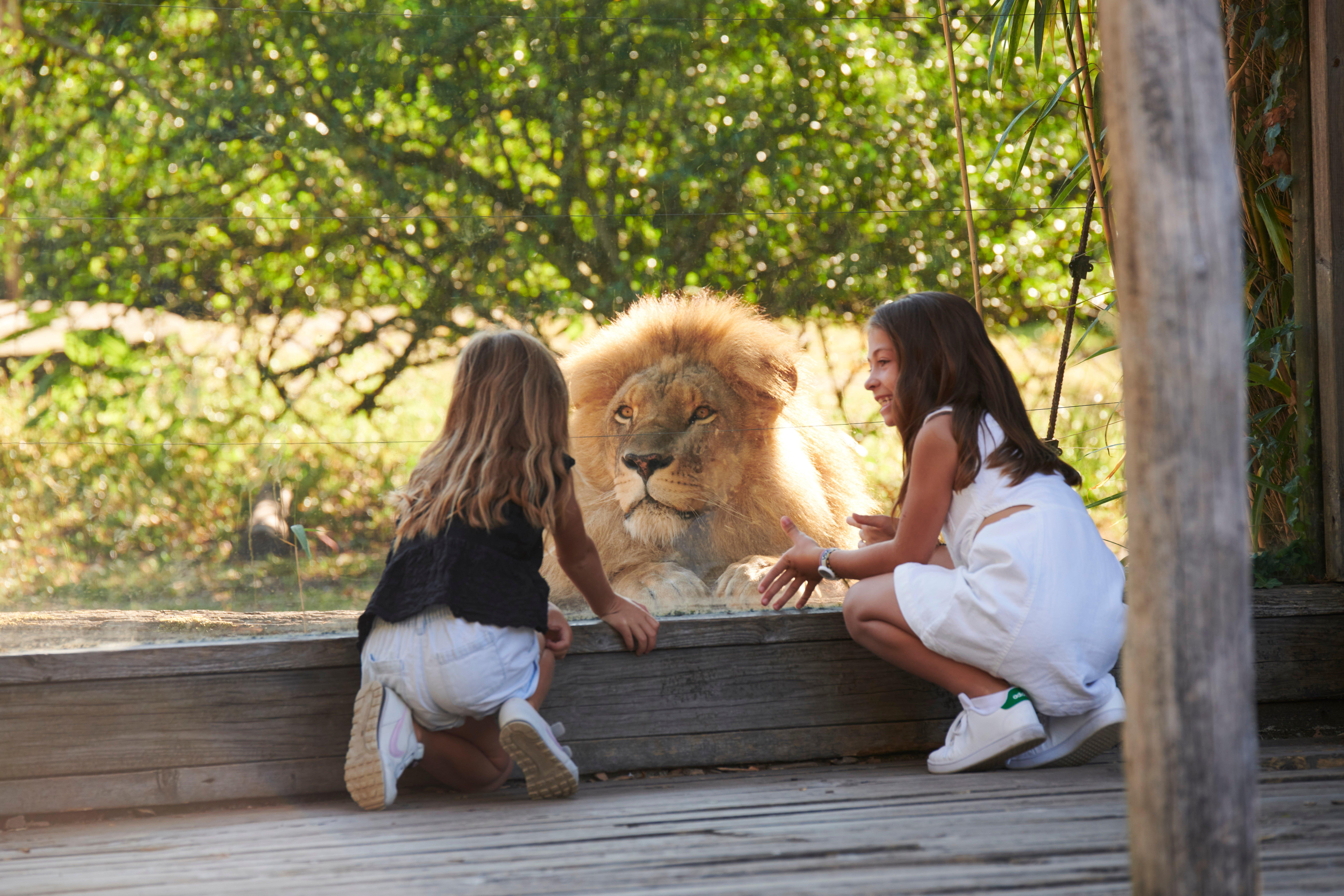 Zoo de Bordeaux Pessac