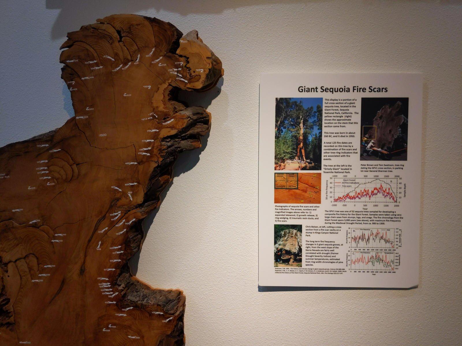 The Laboratory of Tree-Ring Research