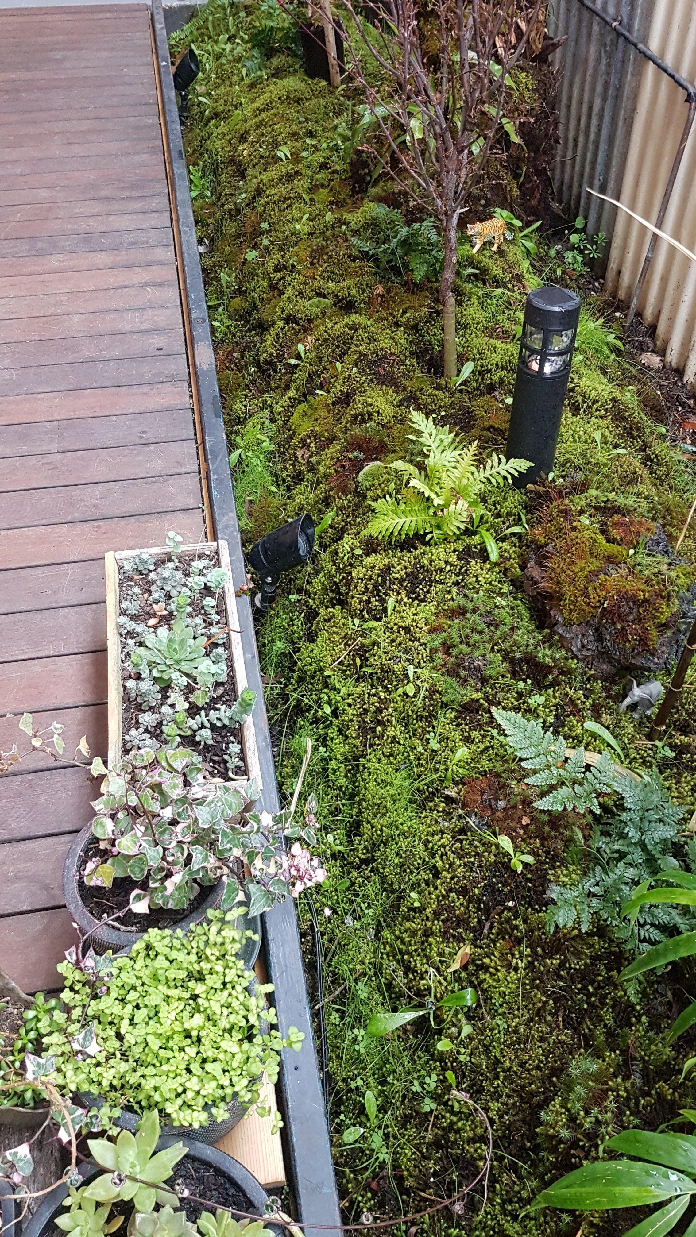 Sonamu Korean Restaurant And Tea Shop