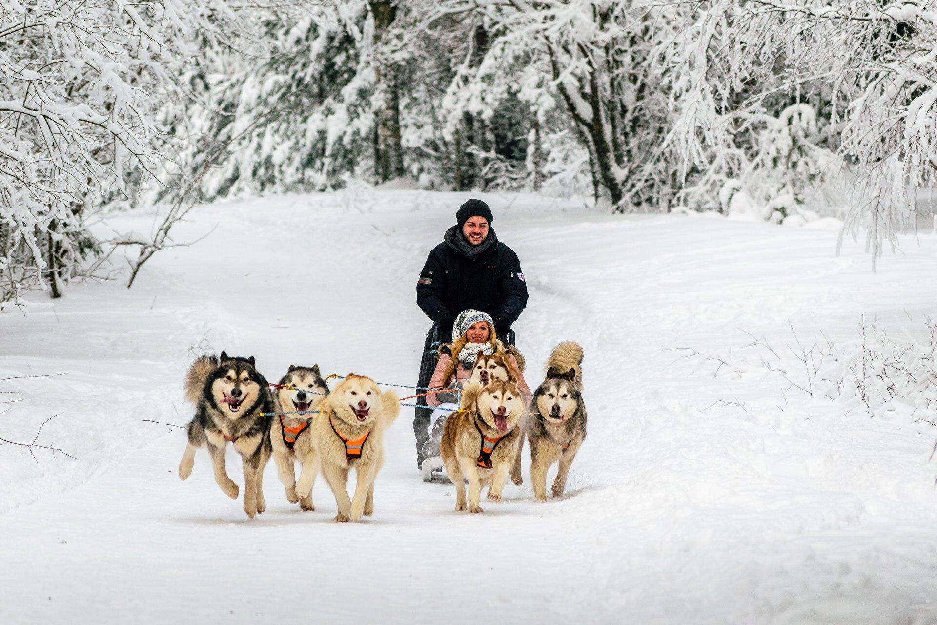 Discover Latvia Tours