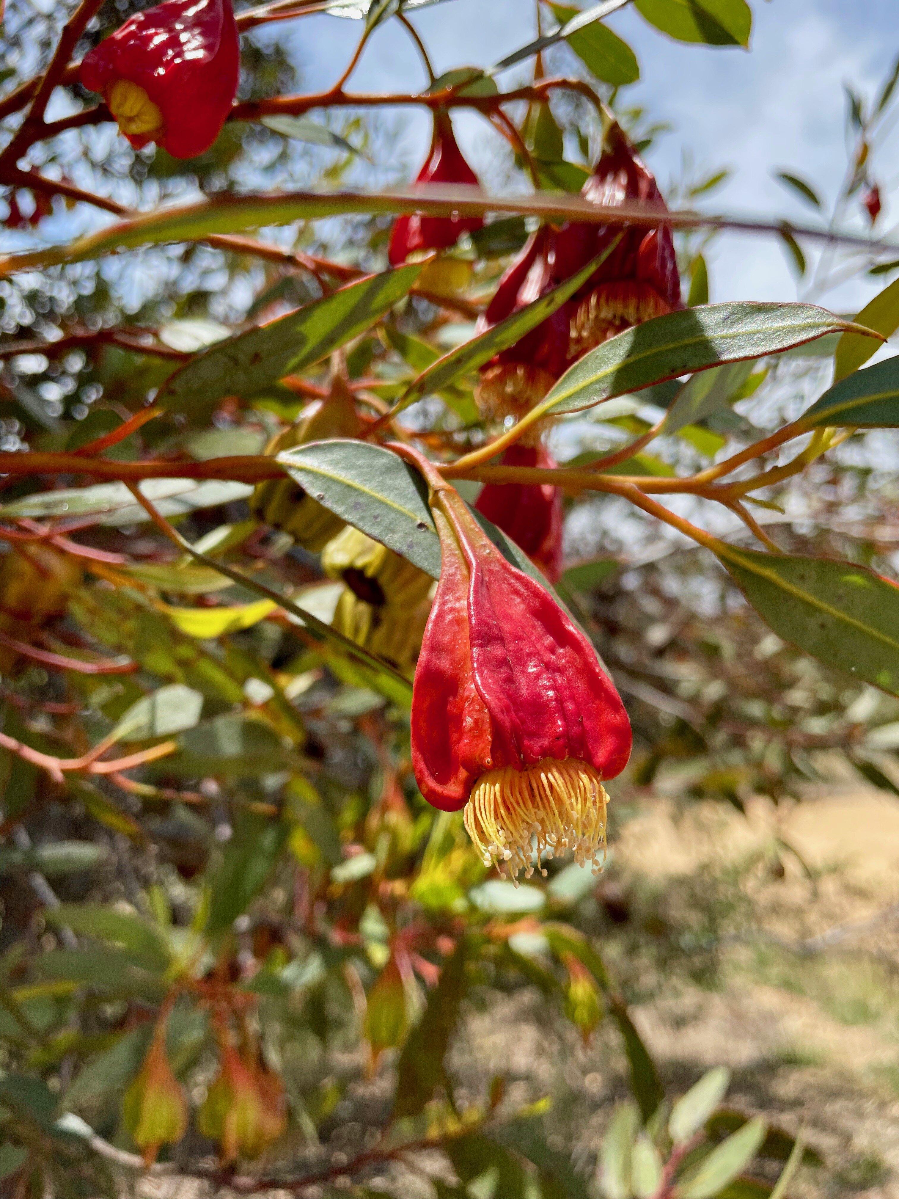 Photo by Crystalline4u