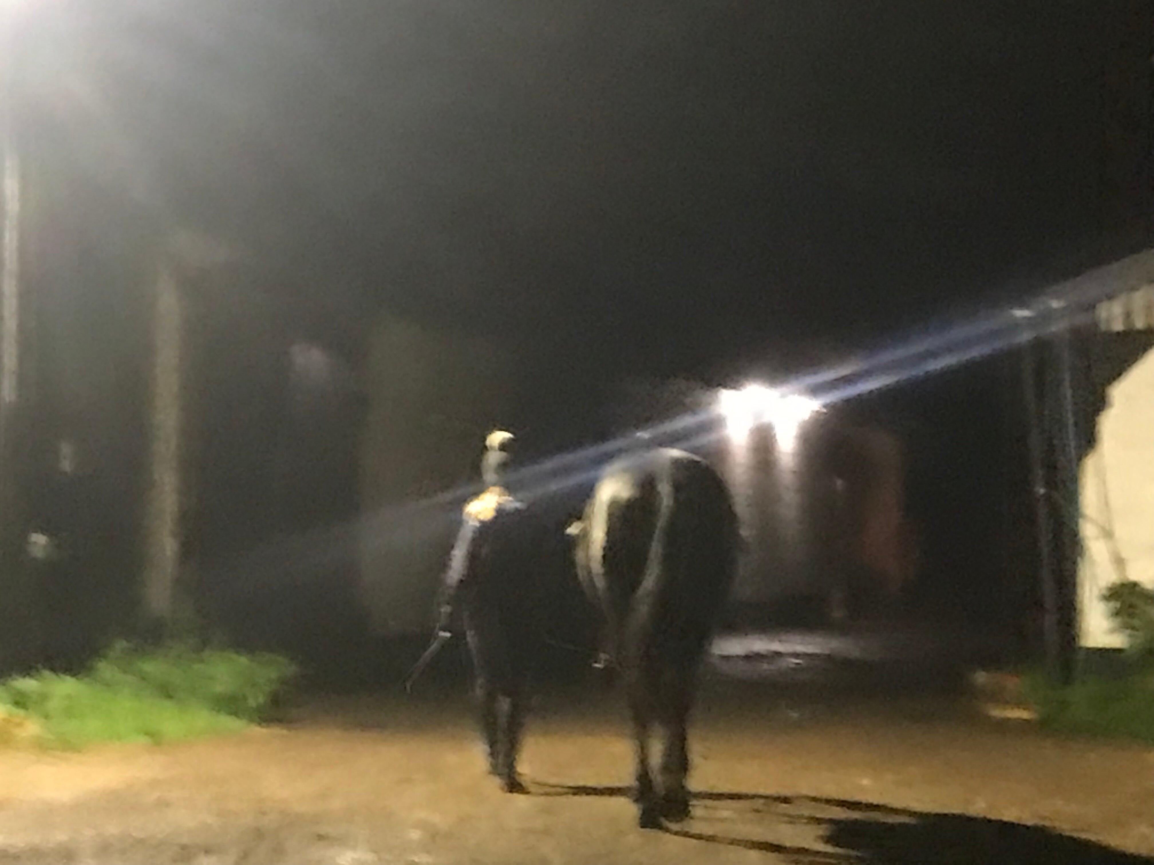 Deanswood Equestrian Centre