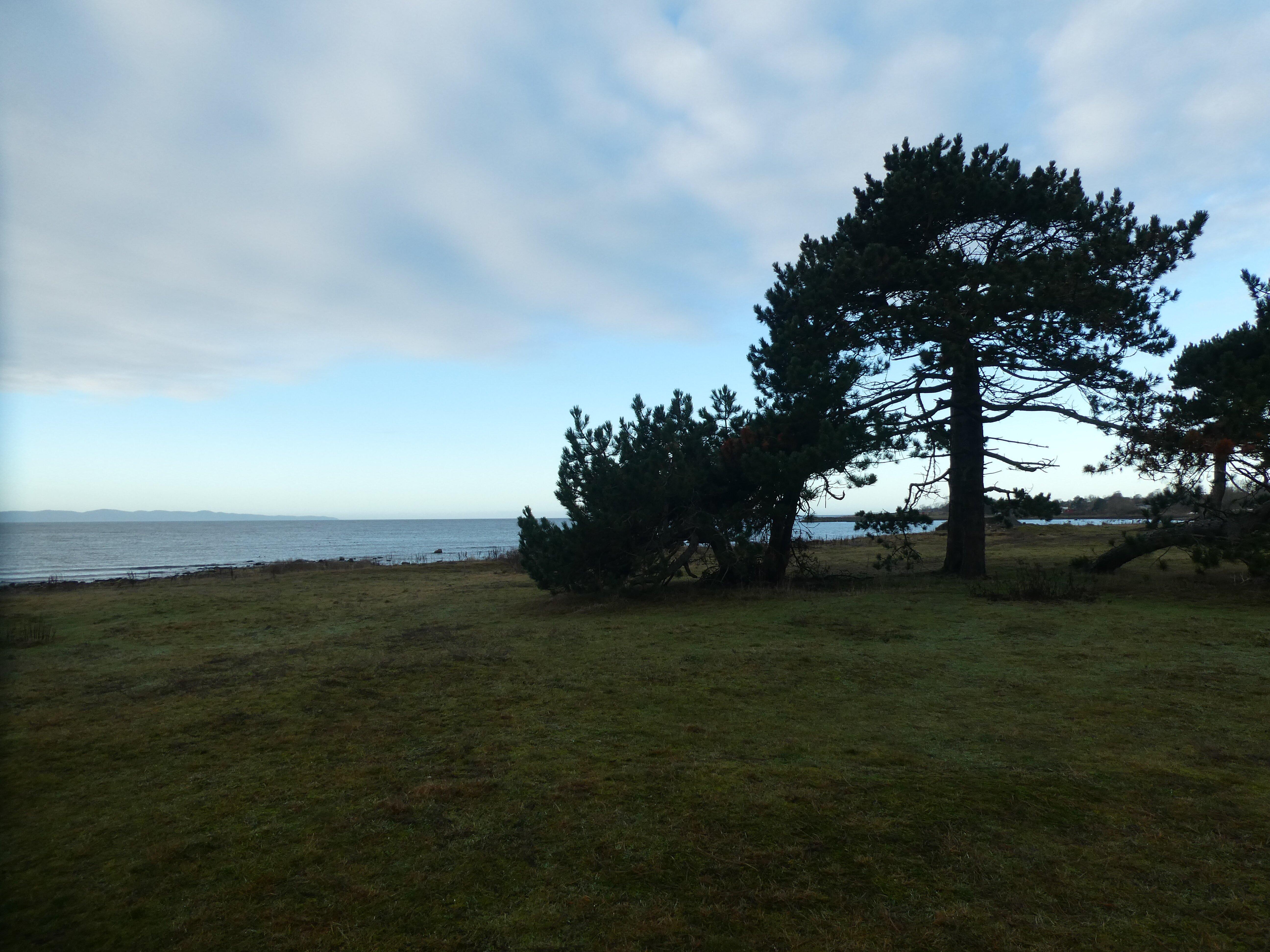 Naturreservatet Södra Bjärekusten