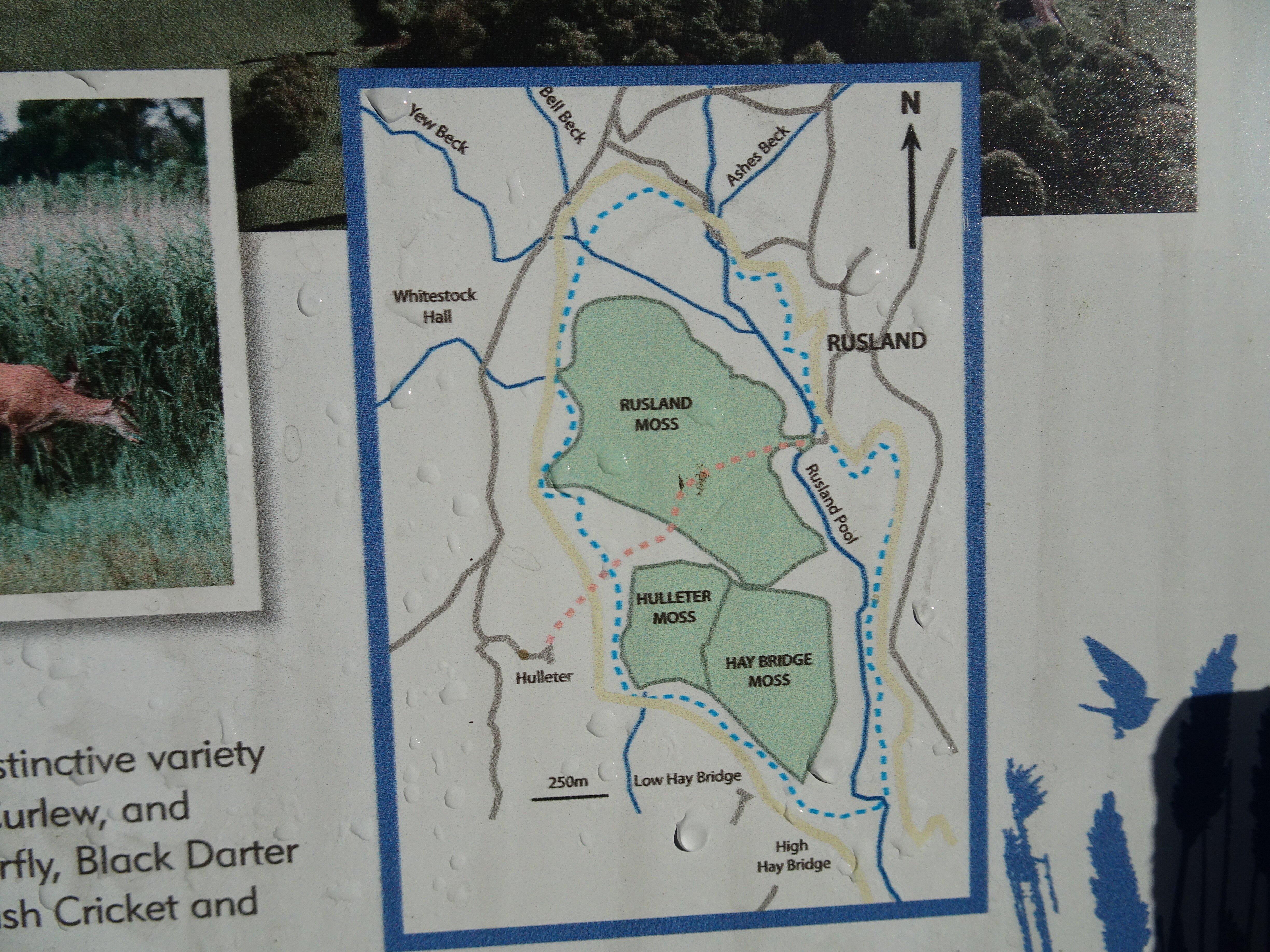 Rusland Nature Reserve