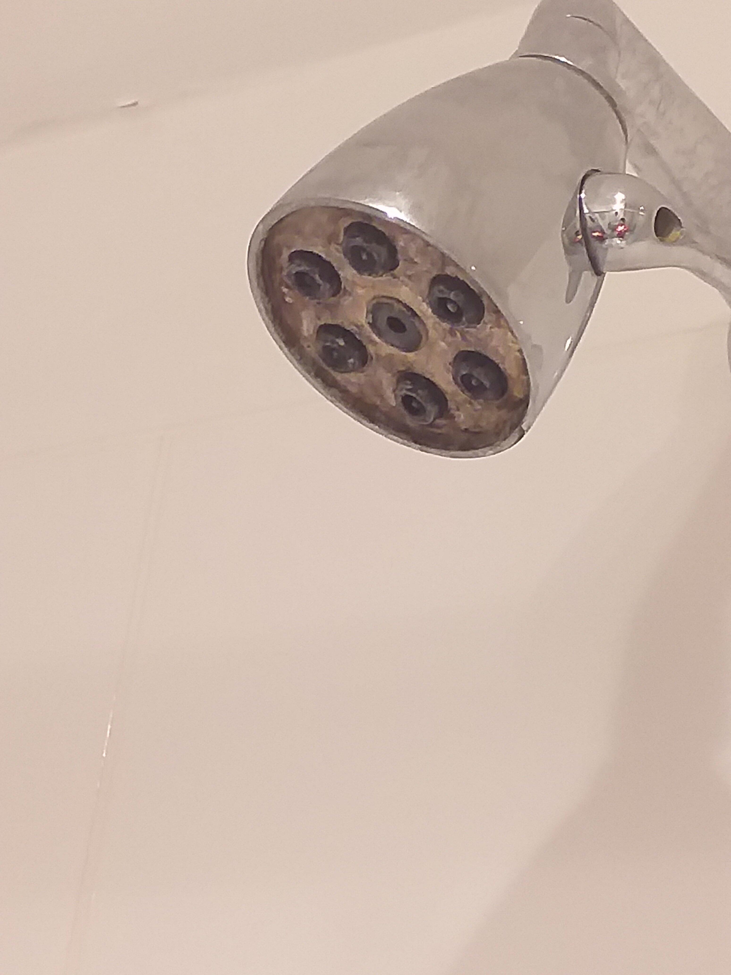 Old School Apartments 1 & 2