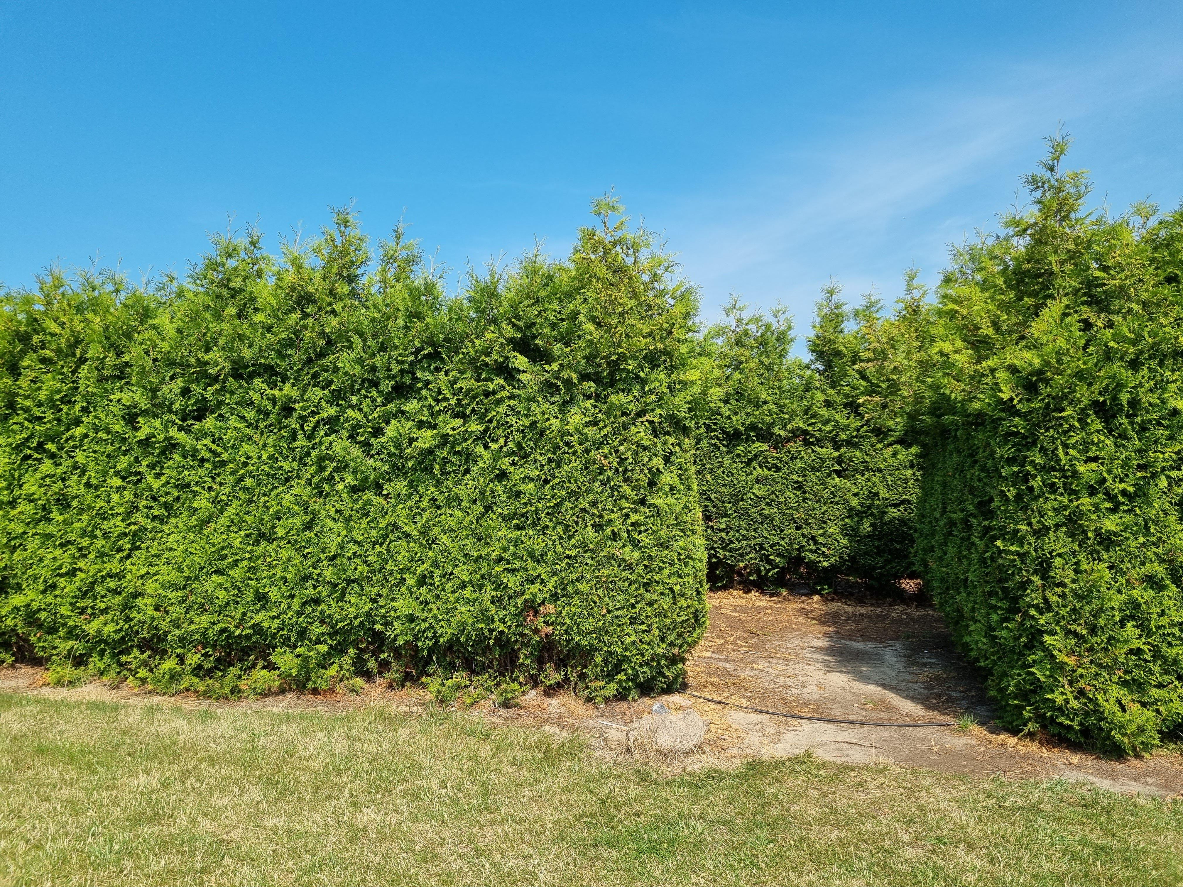 Labirynt Kamień Pomorski