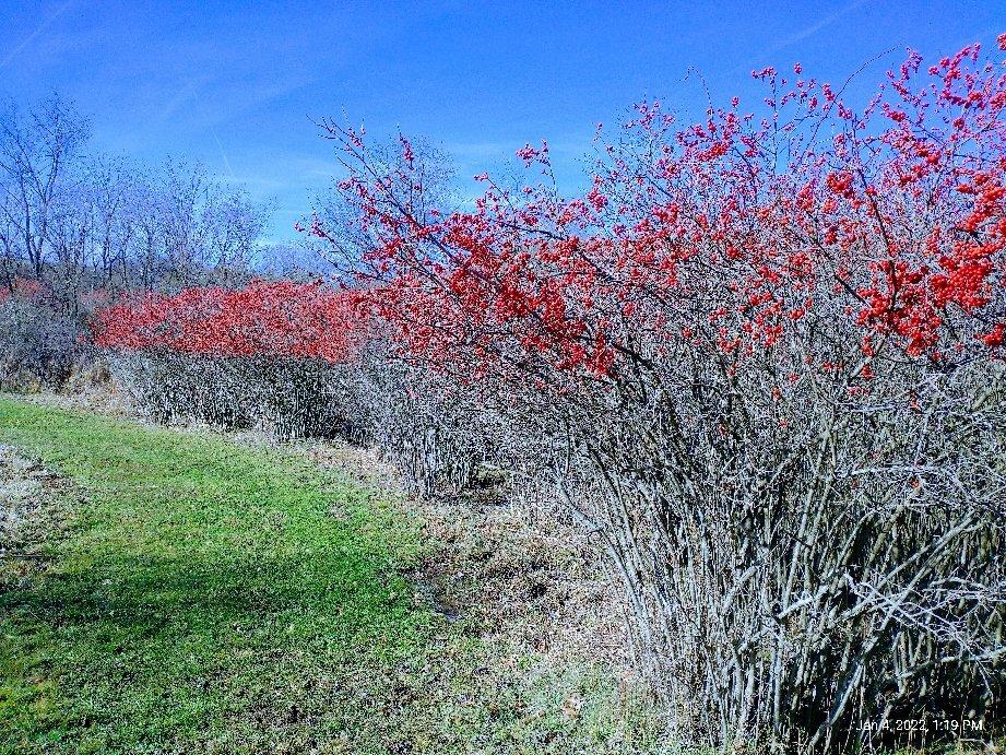 Photo by KeepLifeSimpleUSA