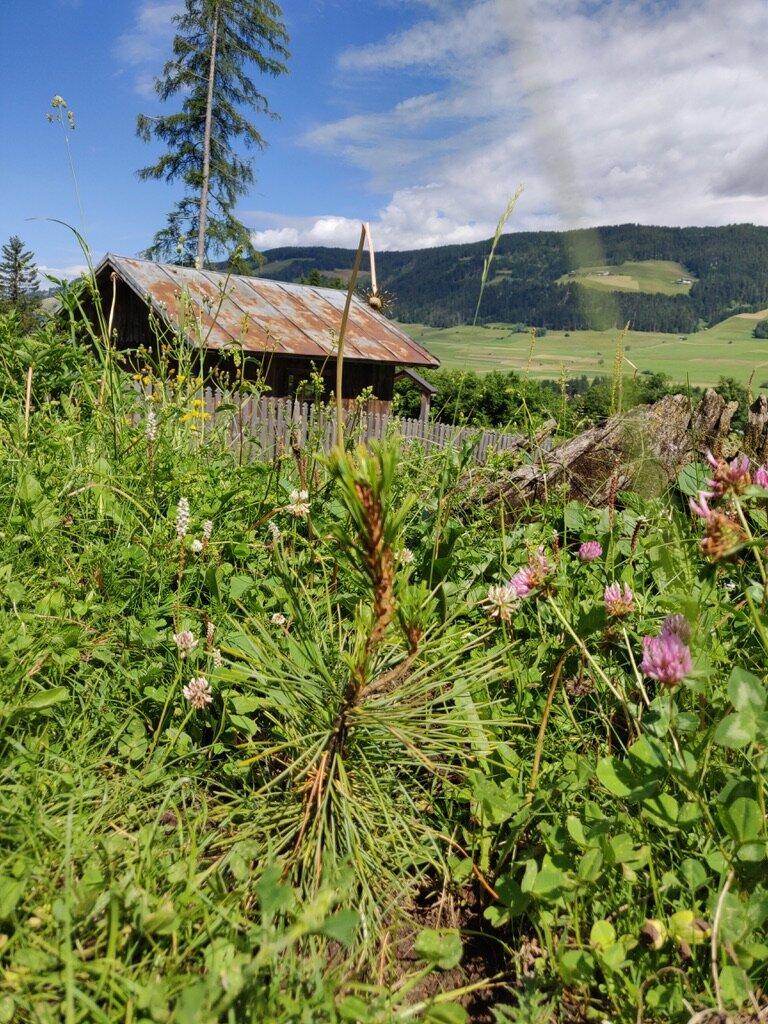Gustav Mahler Composing Hut Toblach