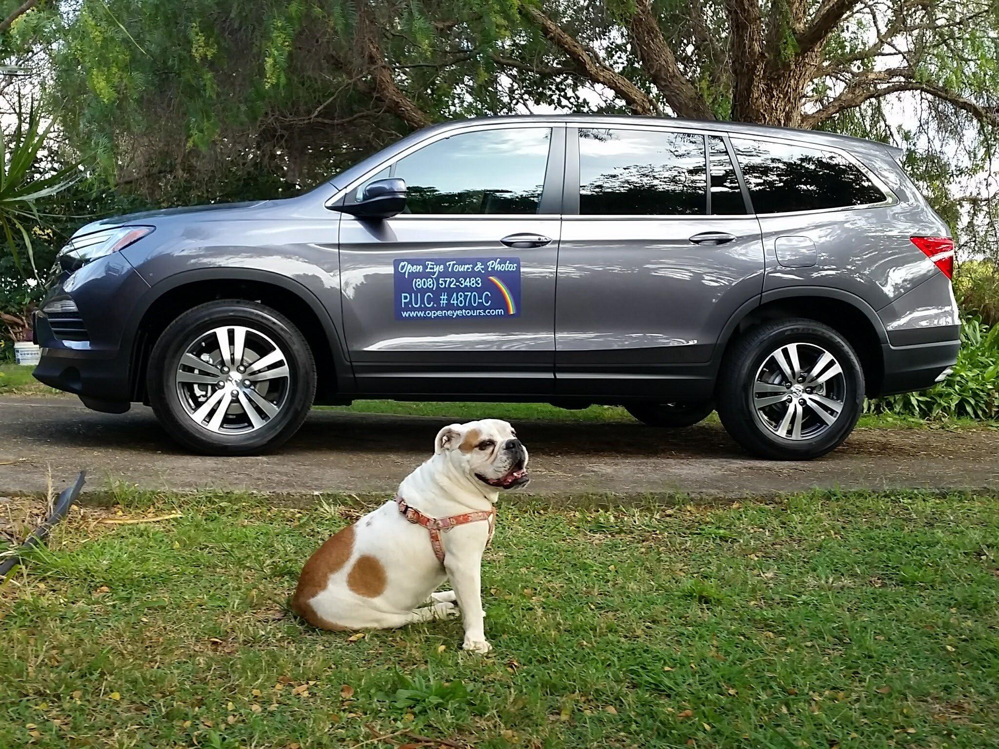 Open Eye Tours & Photos