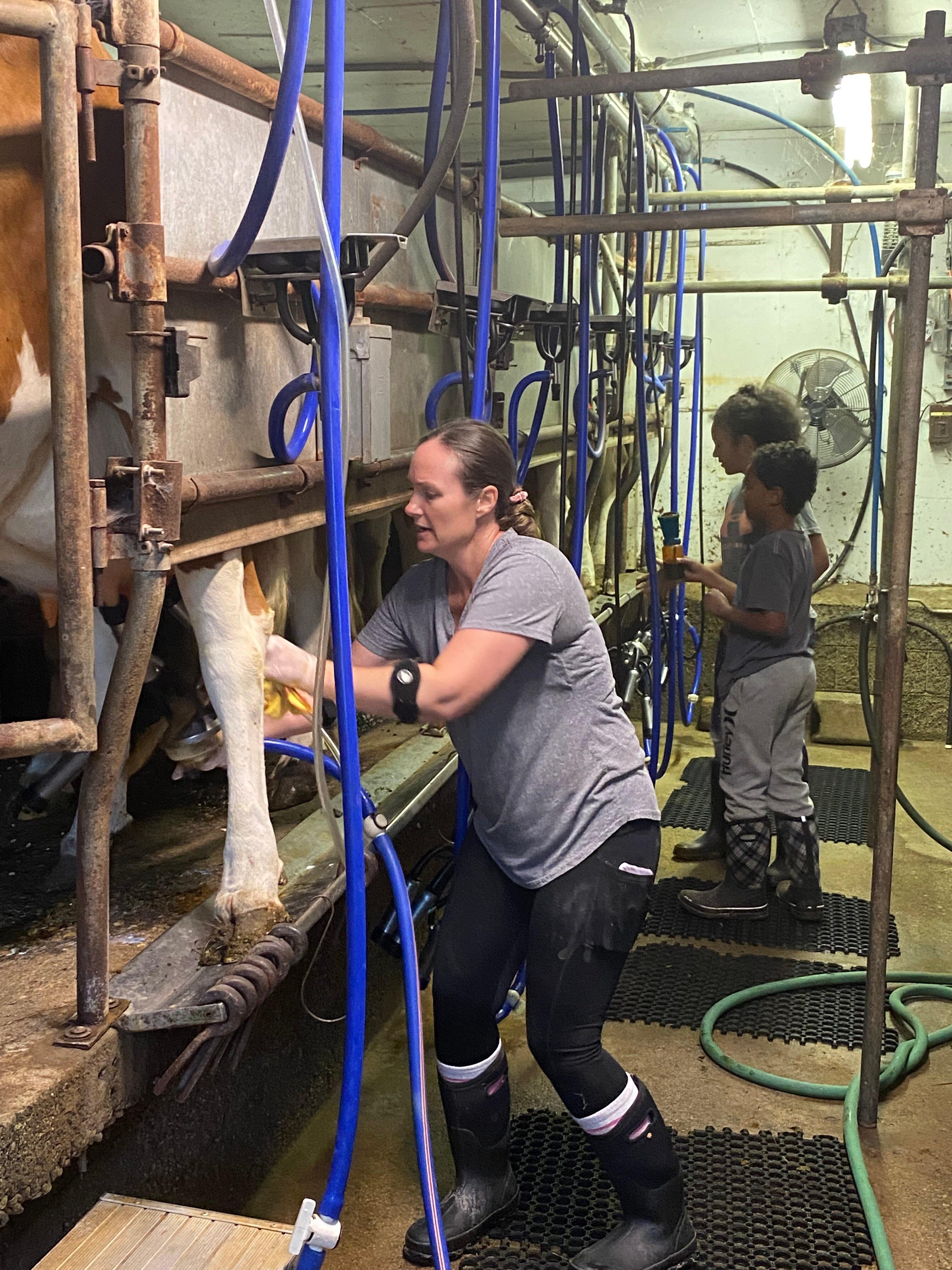 Photo by fenwayfan17