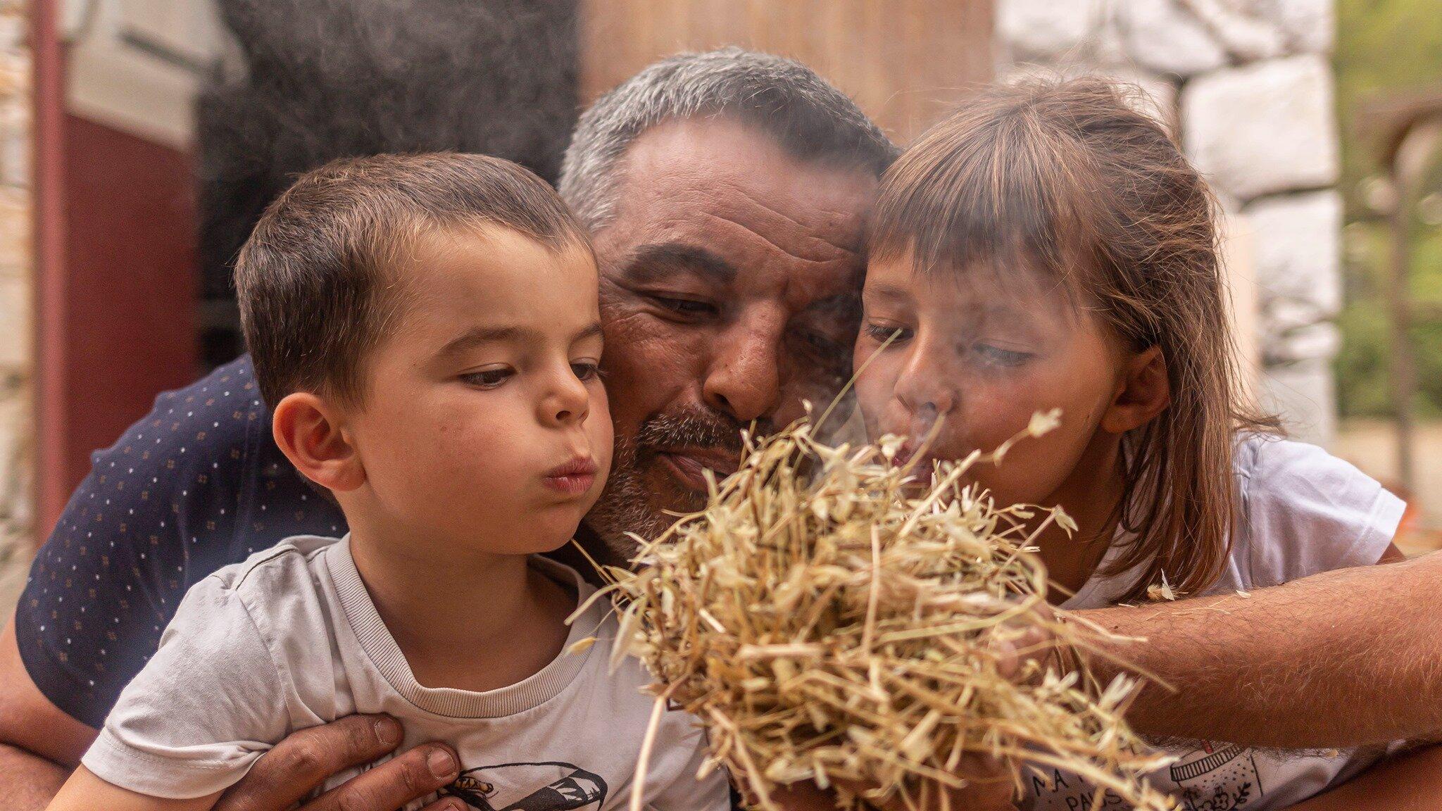 Museum of Préhistory Tautavel