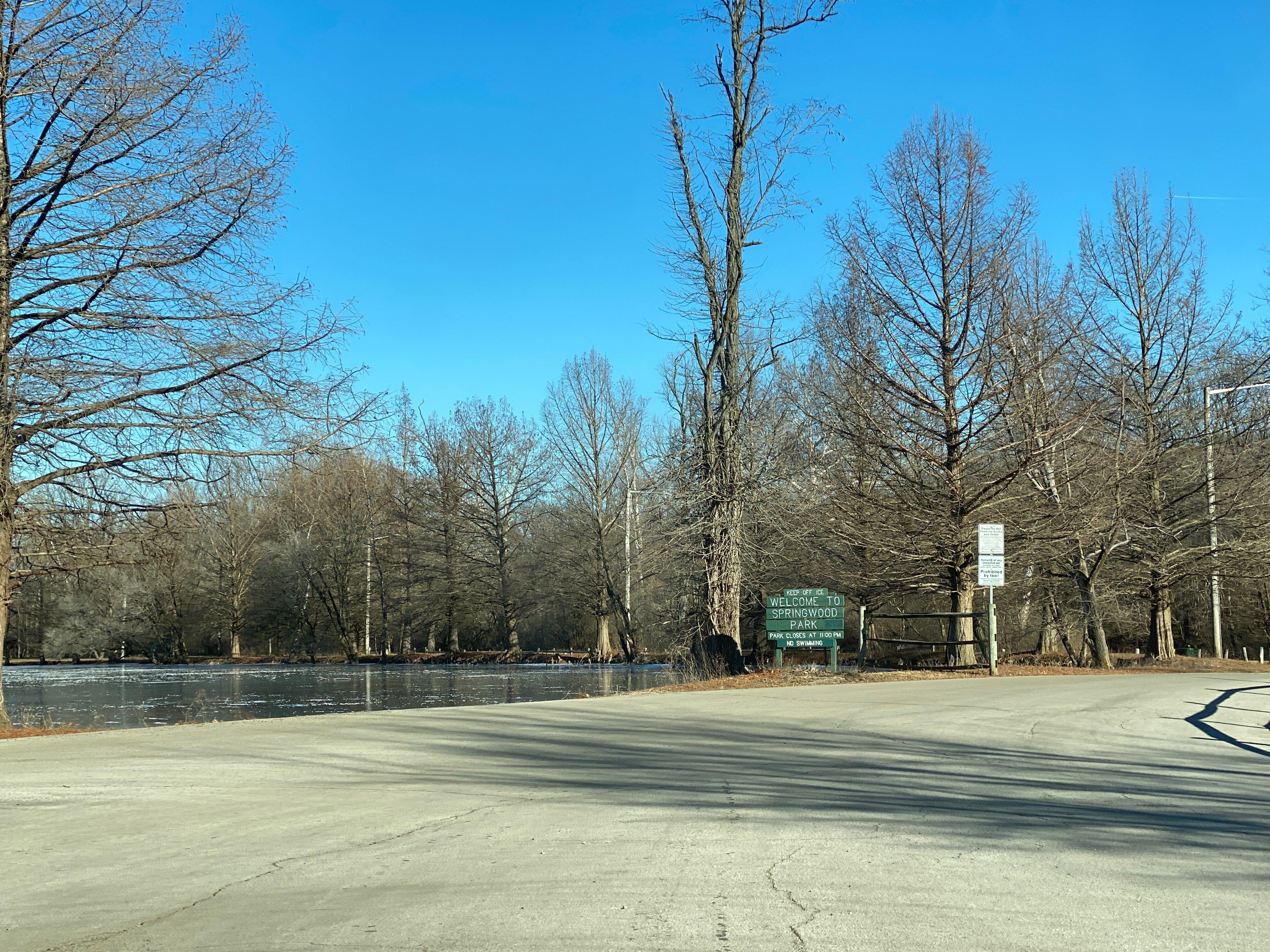 Photo by daisyferret1