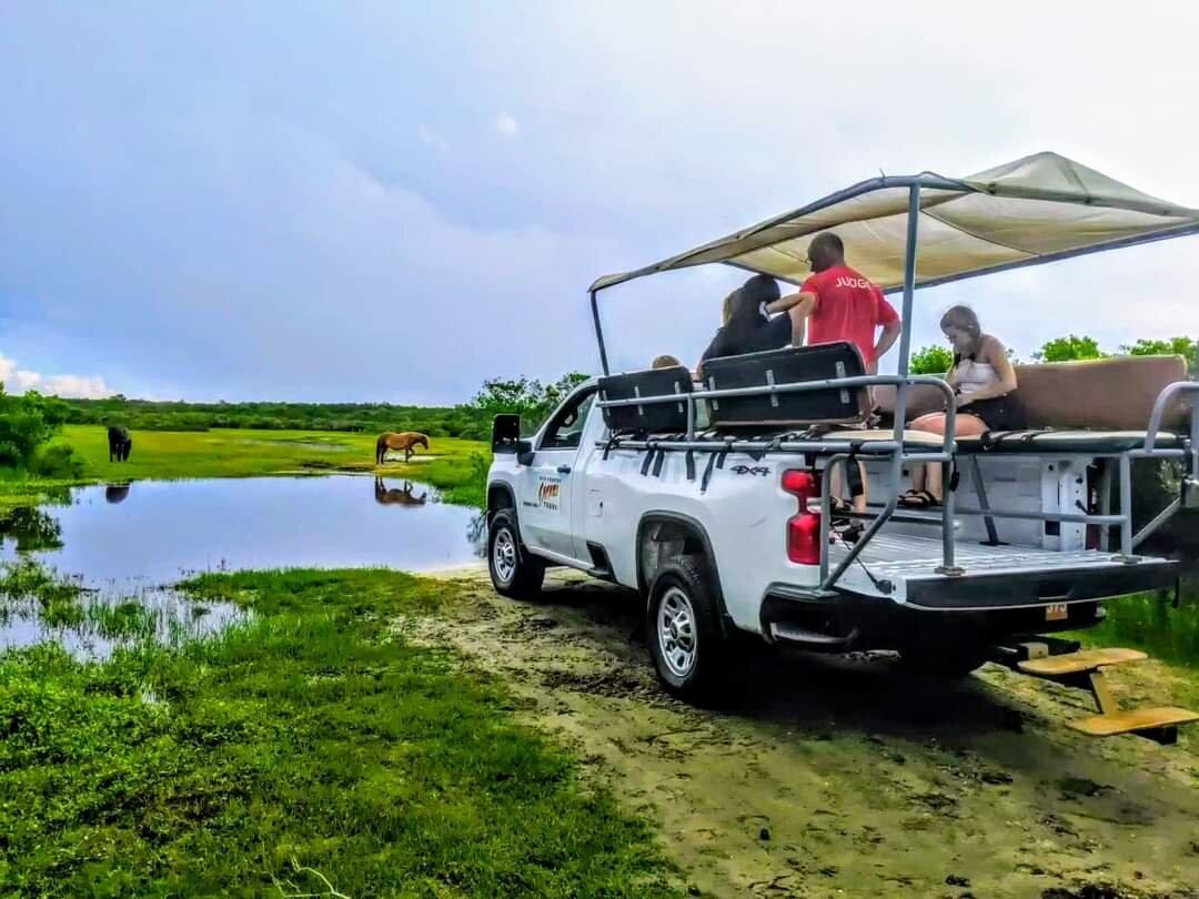 Back Country Safari Tours
