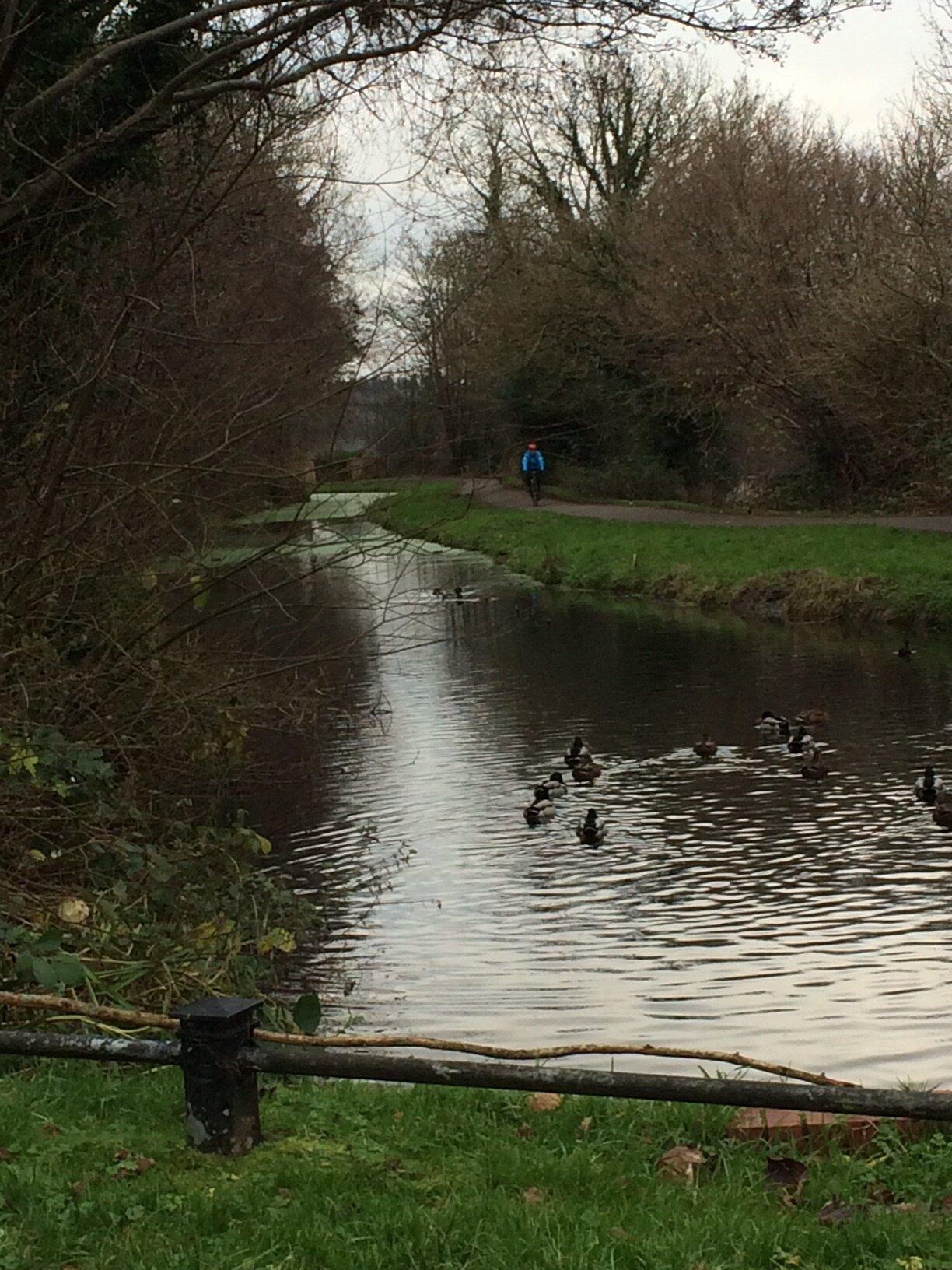Mcdougall's Fish And Chips