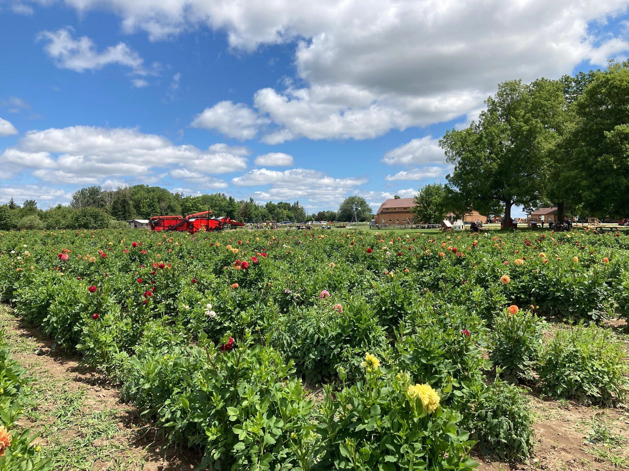 Andrews' Scenic Acres