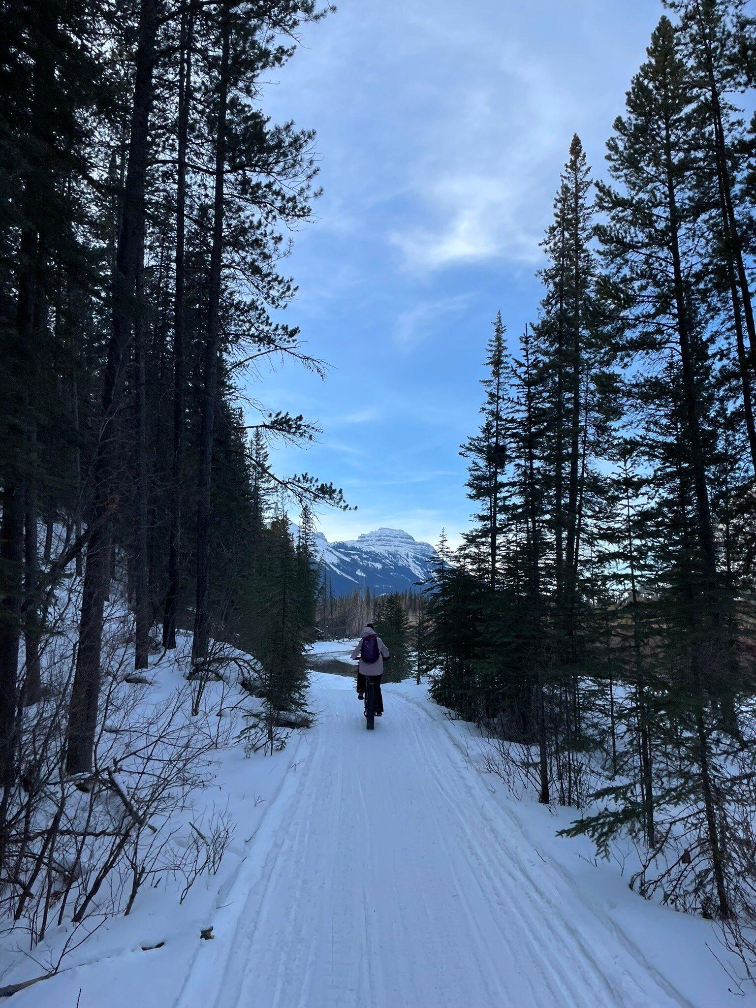 Bikescape Mountain Bike & Winter Adventures