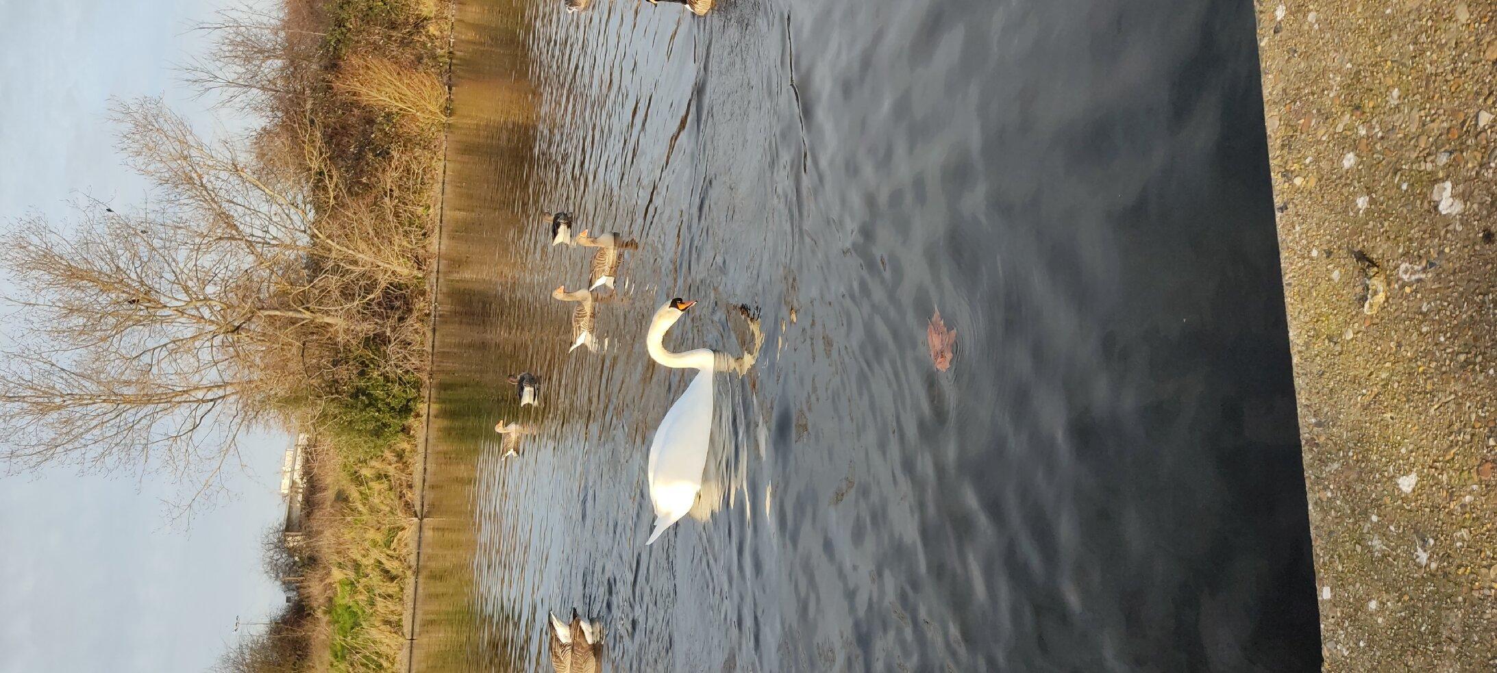 Barking Park War Memorial