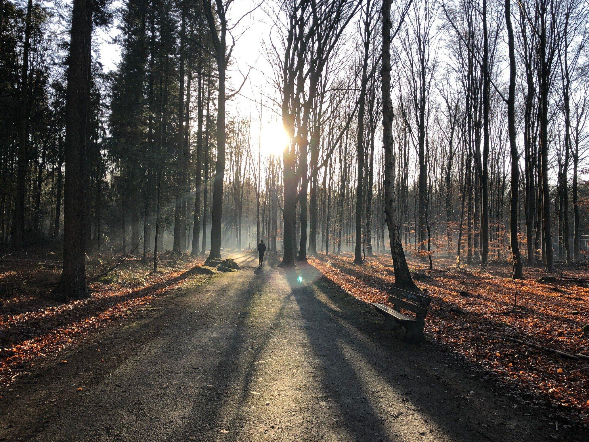 Philips De Jongh Park