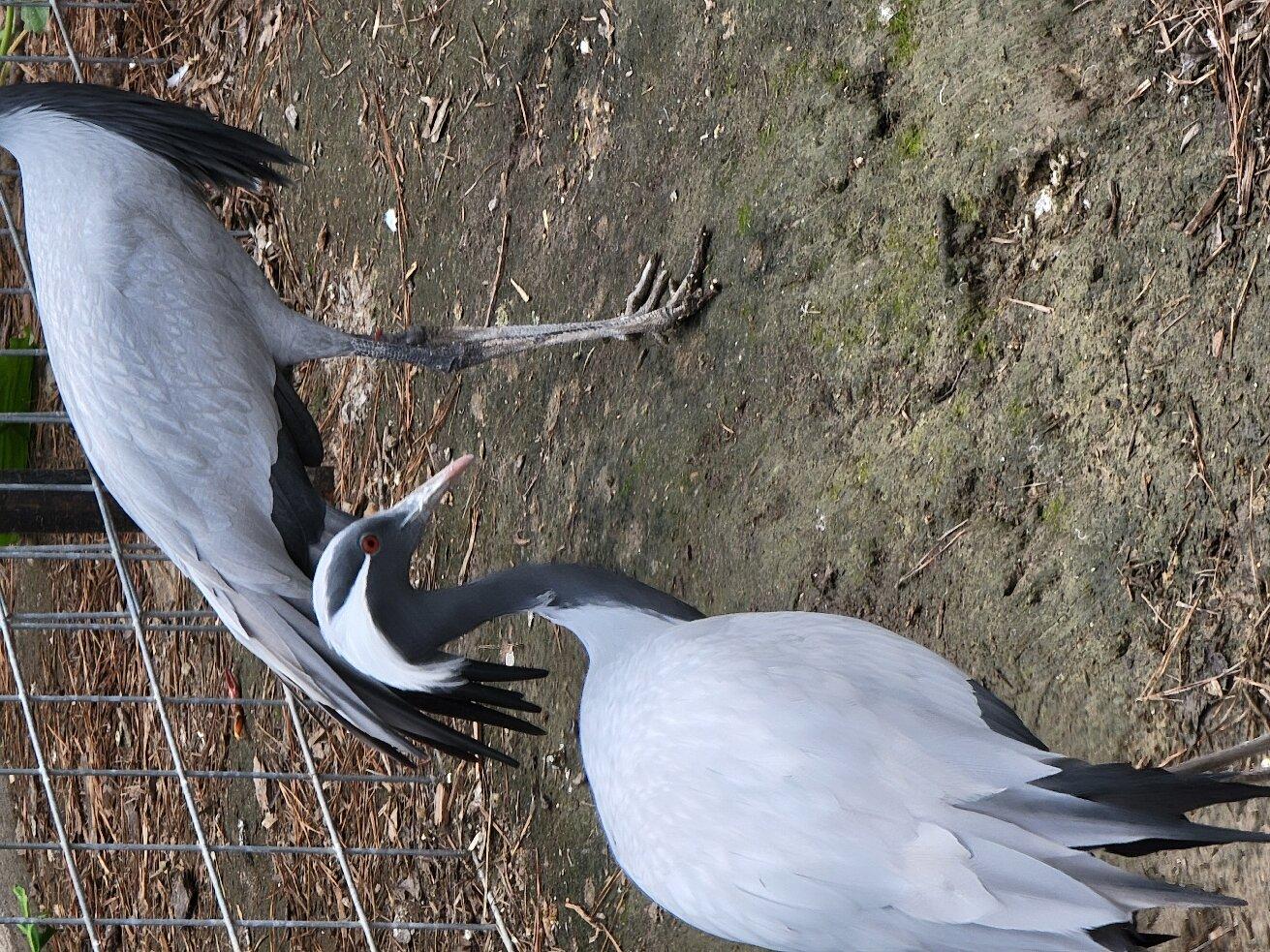 Photo by melwashere81