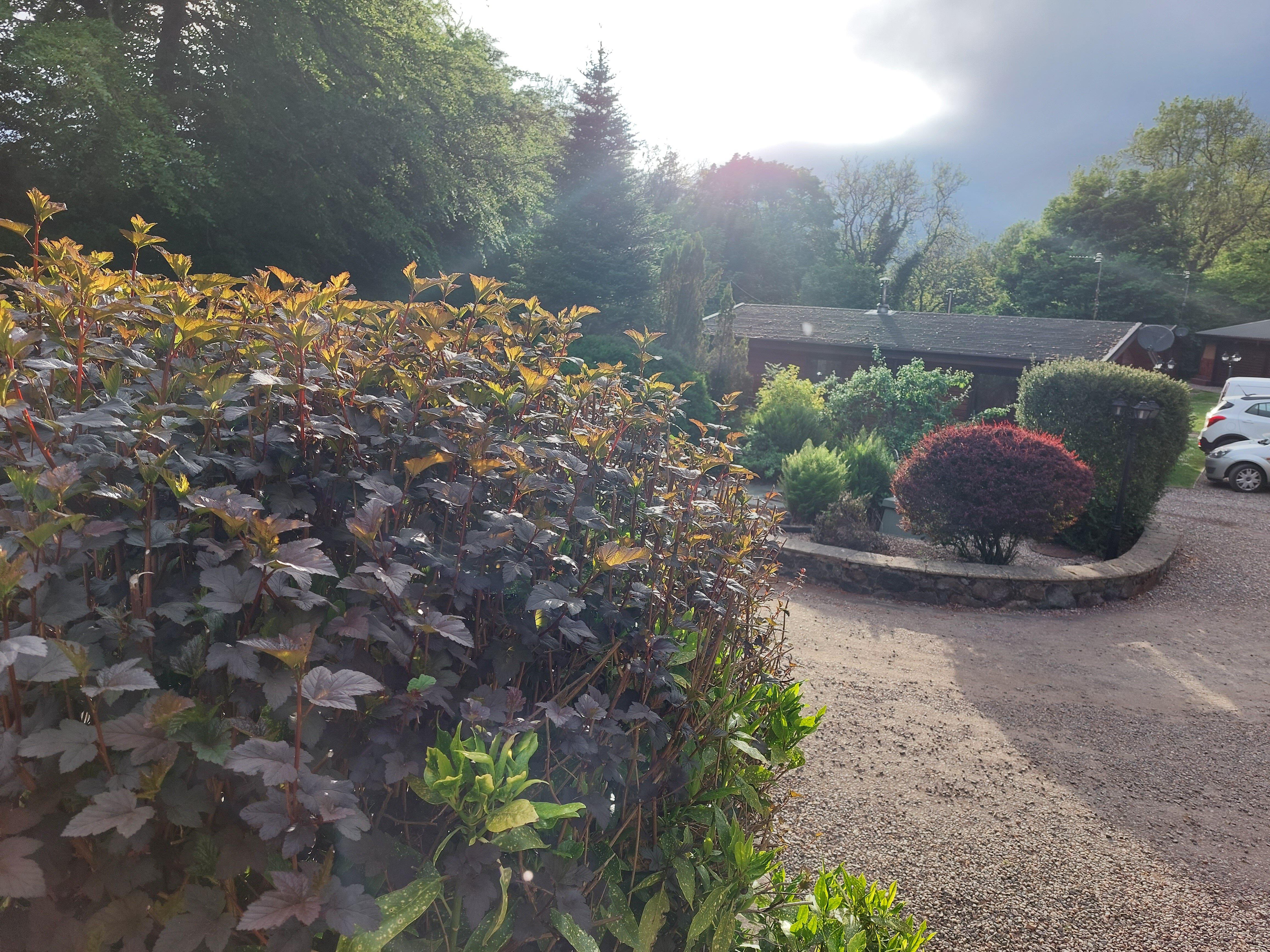 The Steadings & Beech Lodge Log Cabin
