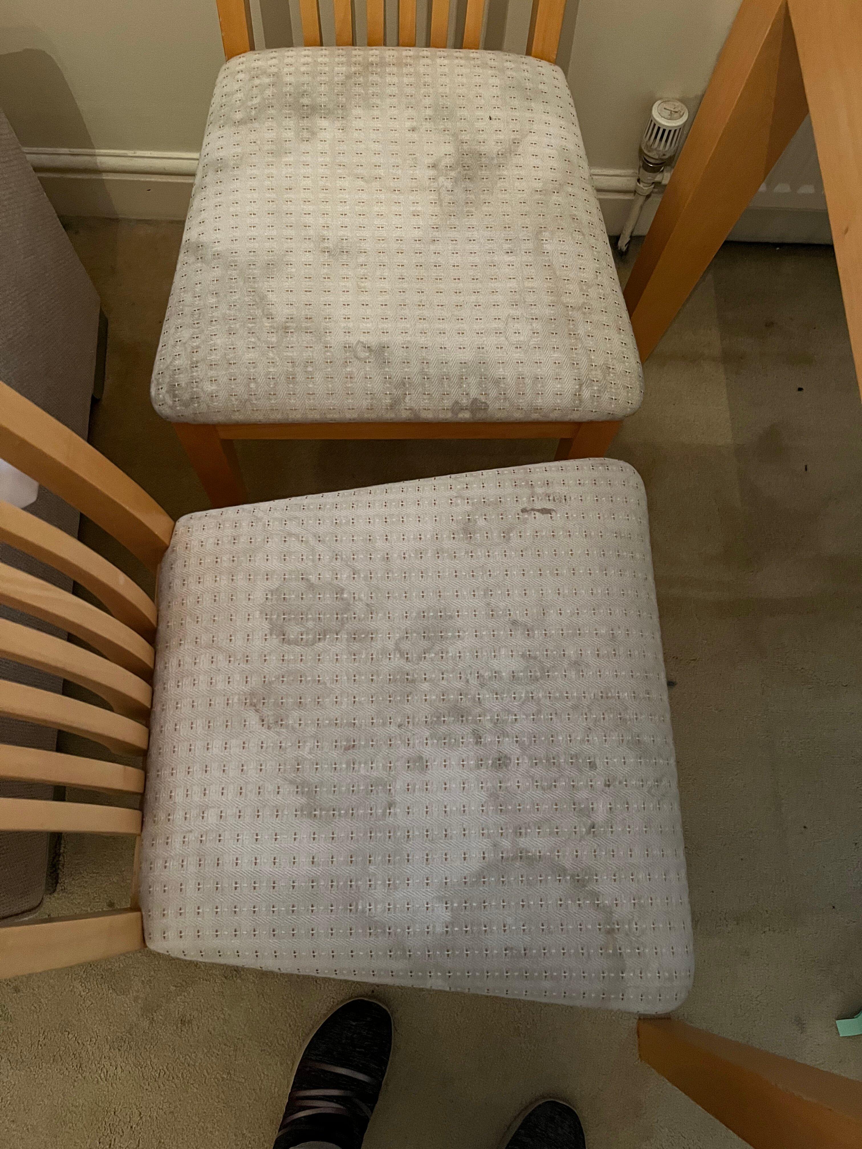 Buckingham Palace View Apartments