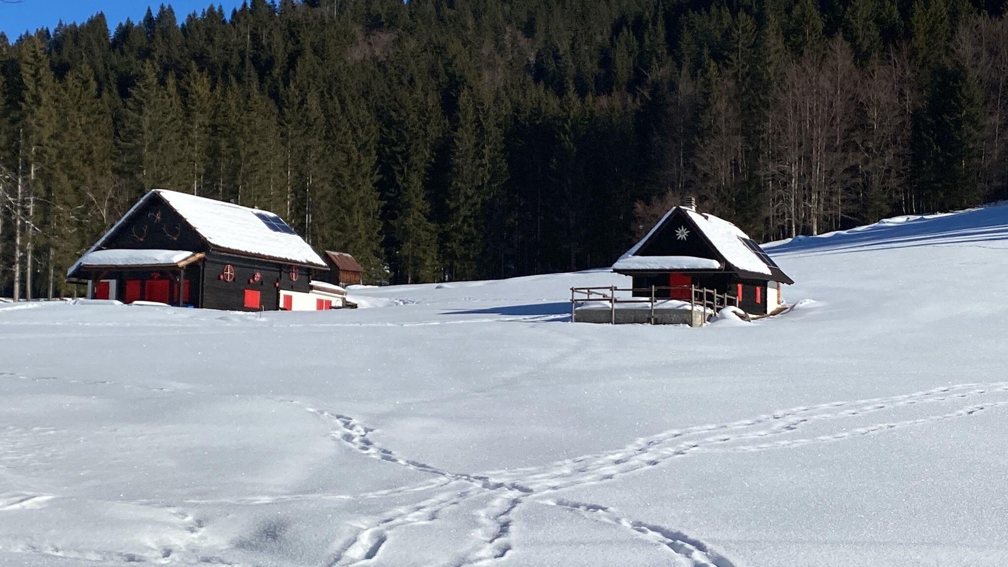 Photo by K6885UWdanieleb