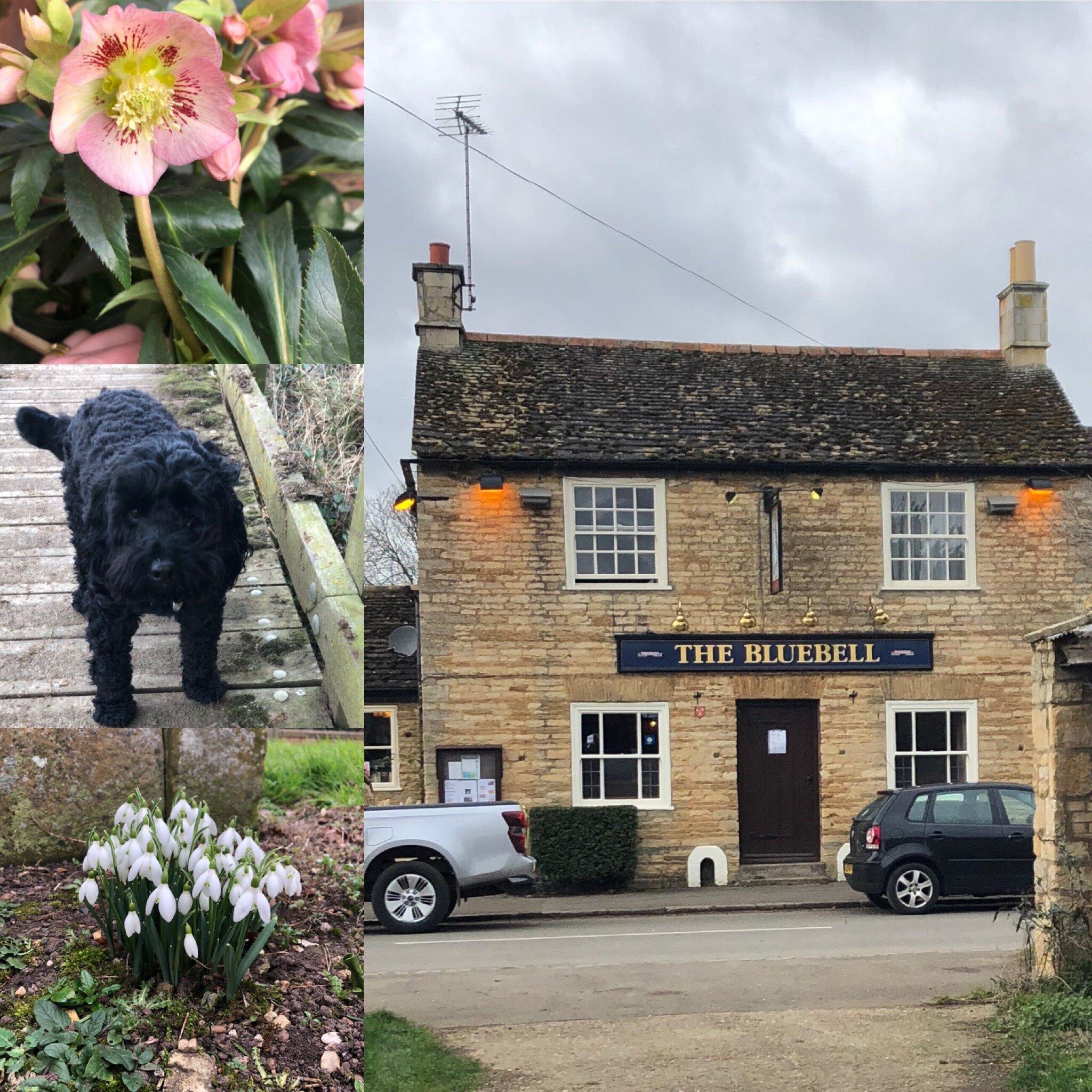The Bluebell Inn Helpston