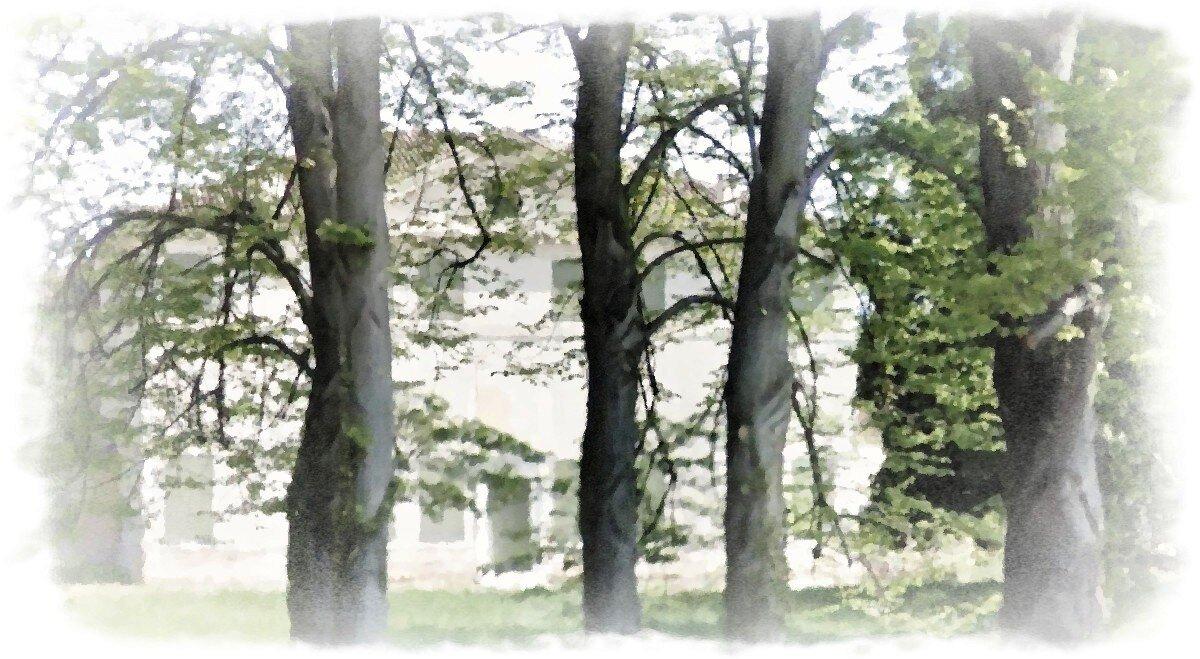 Villa Zeno di Donegal di Cessalto - World Heritage Site