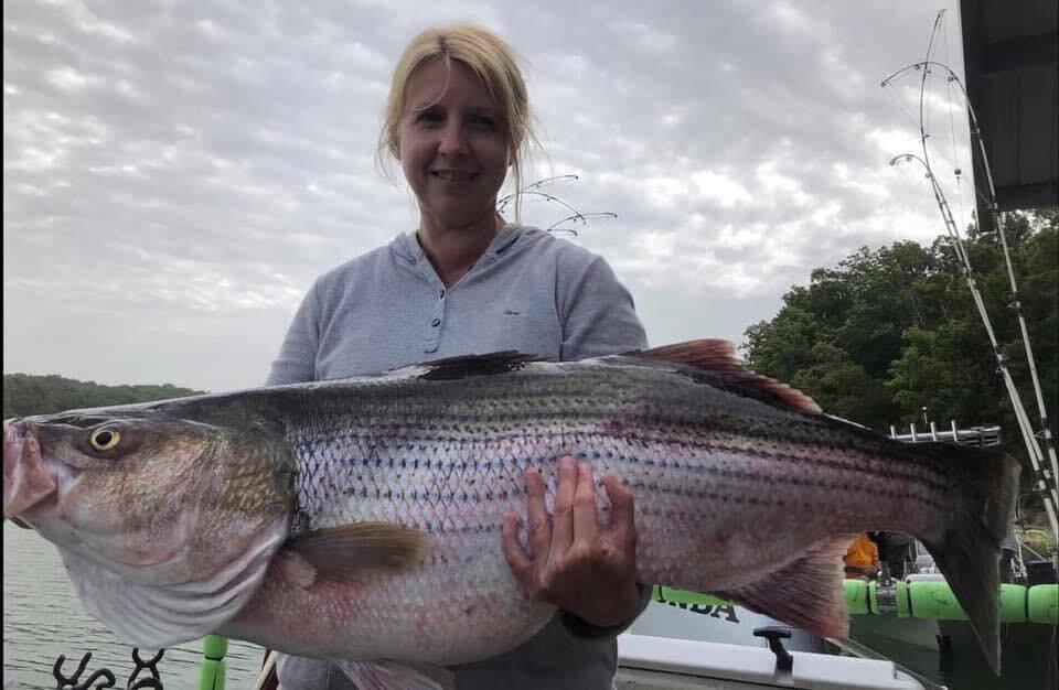 Bailey's Beaver Lake Striper Guide Service