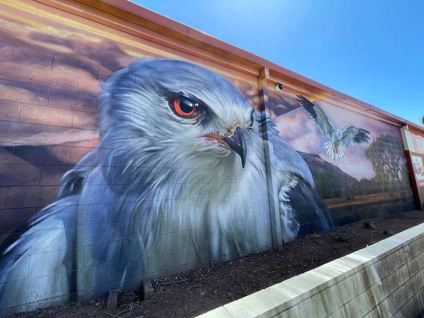 Bird's Eye View Mural Art