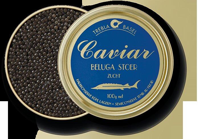 Photo by jurassica02