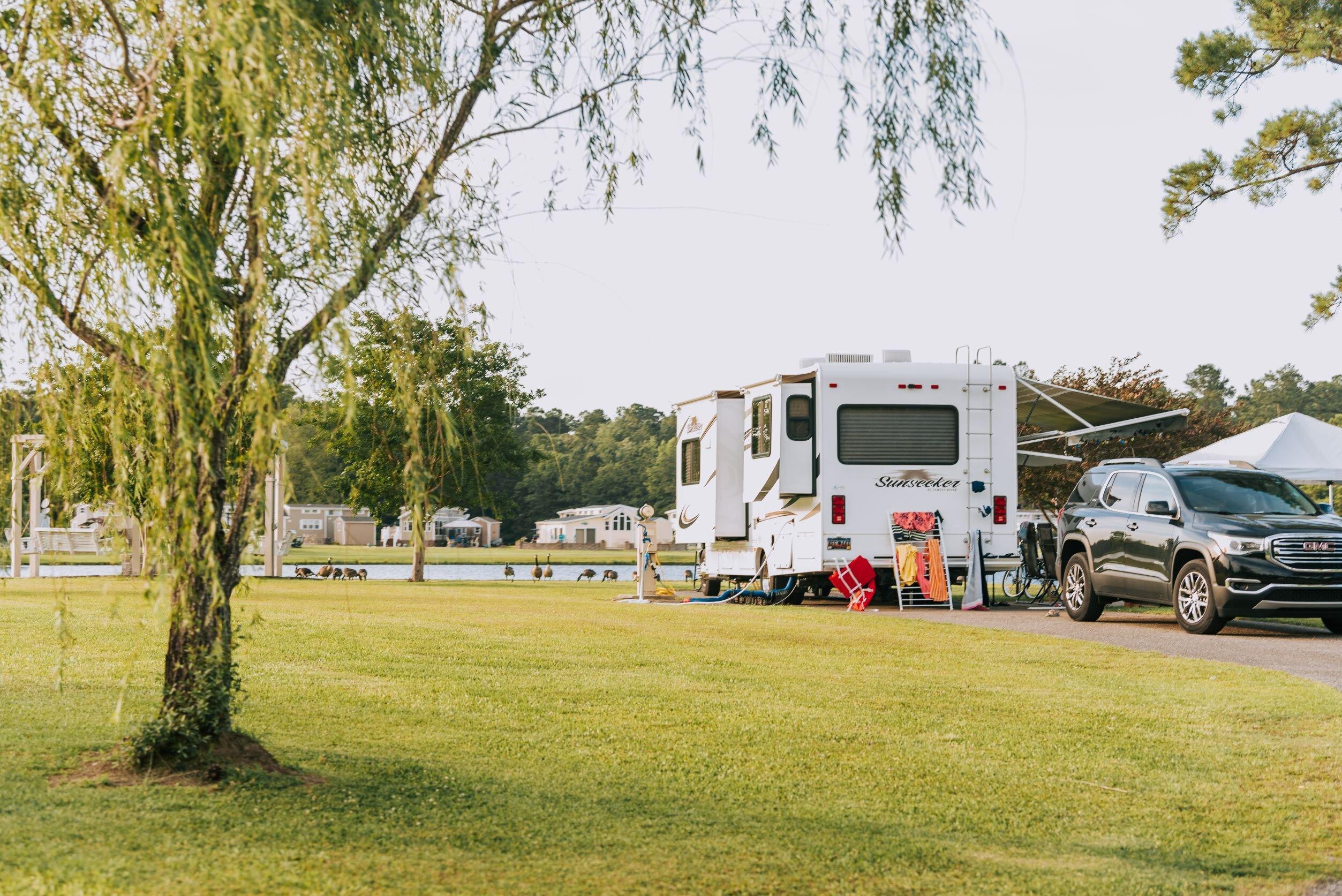 Willow Tree Resort