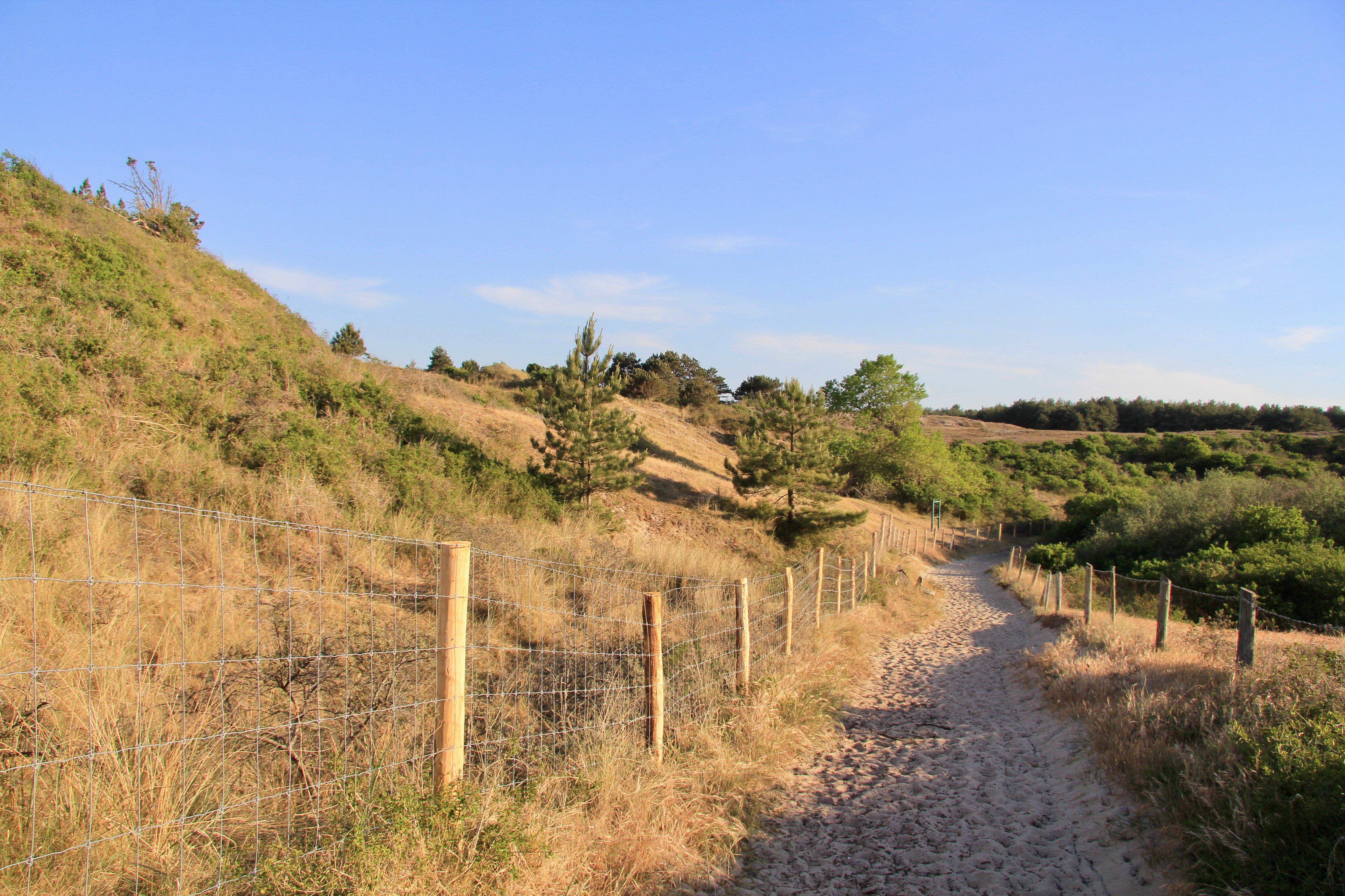Randonnee Mystere Des Dunes Du Royon (Baie de Somme Exploration)