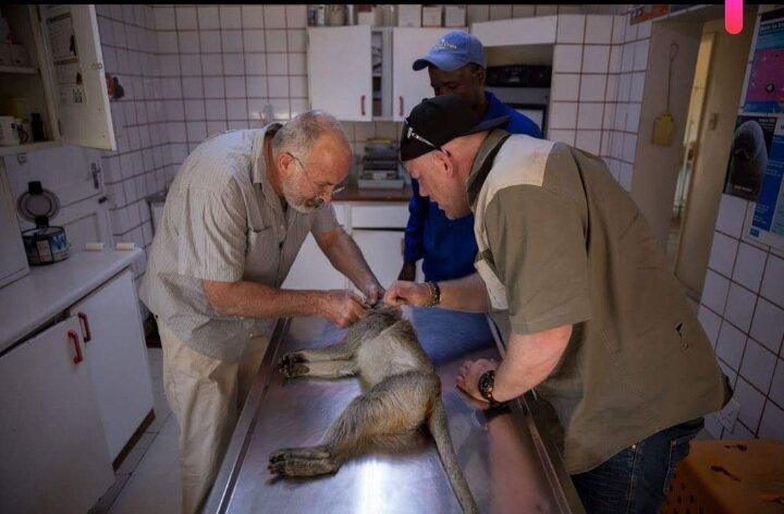 Wokutakula Wildlife Education