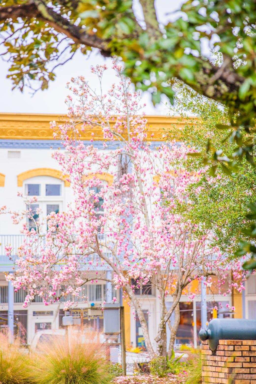 Photo by Passenger22708946570