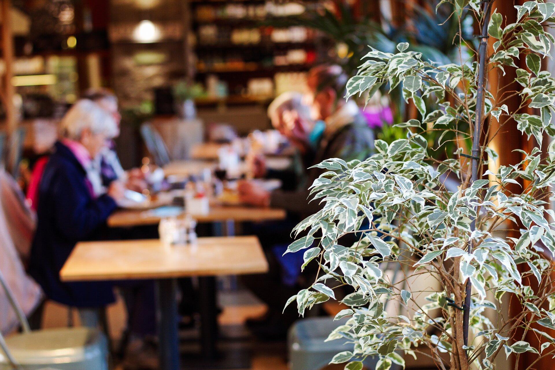 Fairhursts at Berrys Farm Shop & Cafe