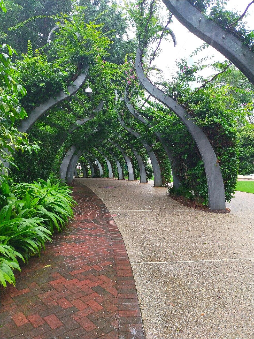 The Arbour