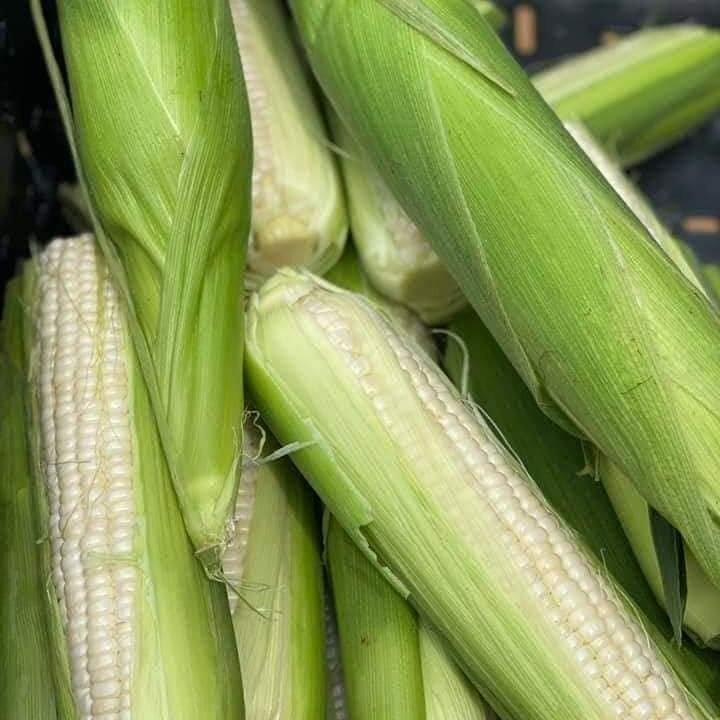 Photo by Z2703NHlisad