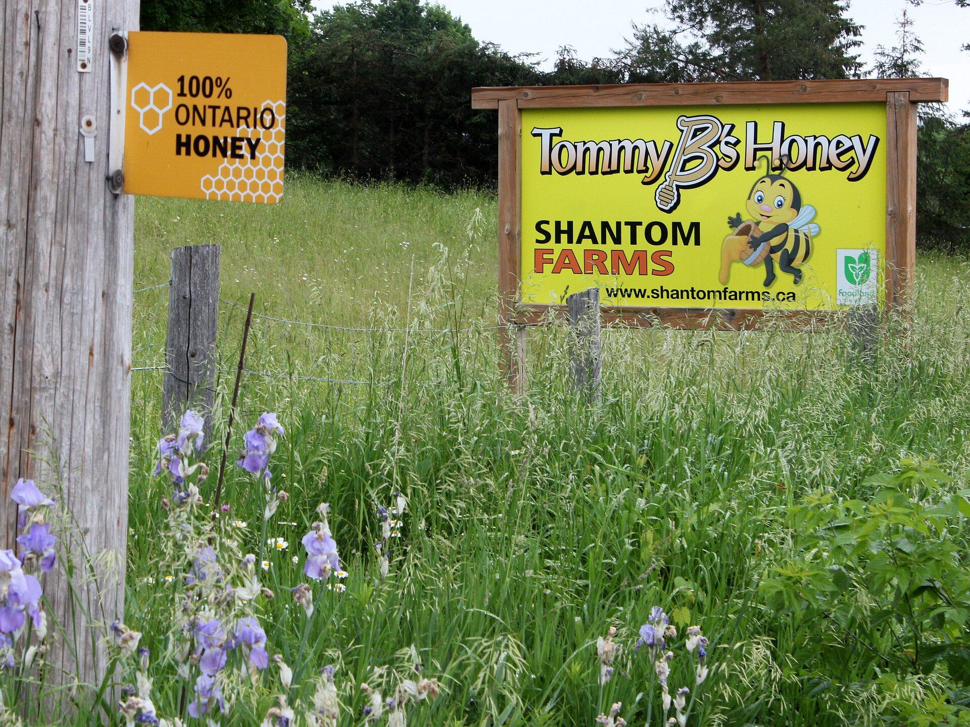 Shantom Farms