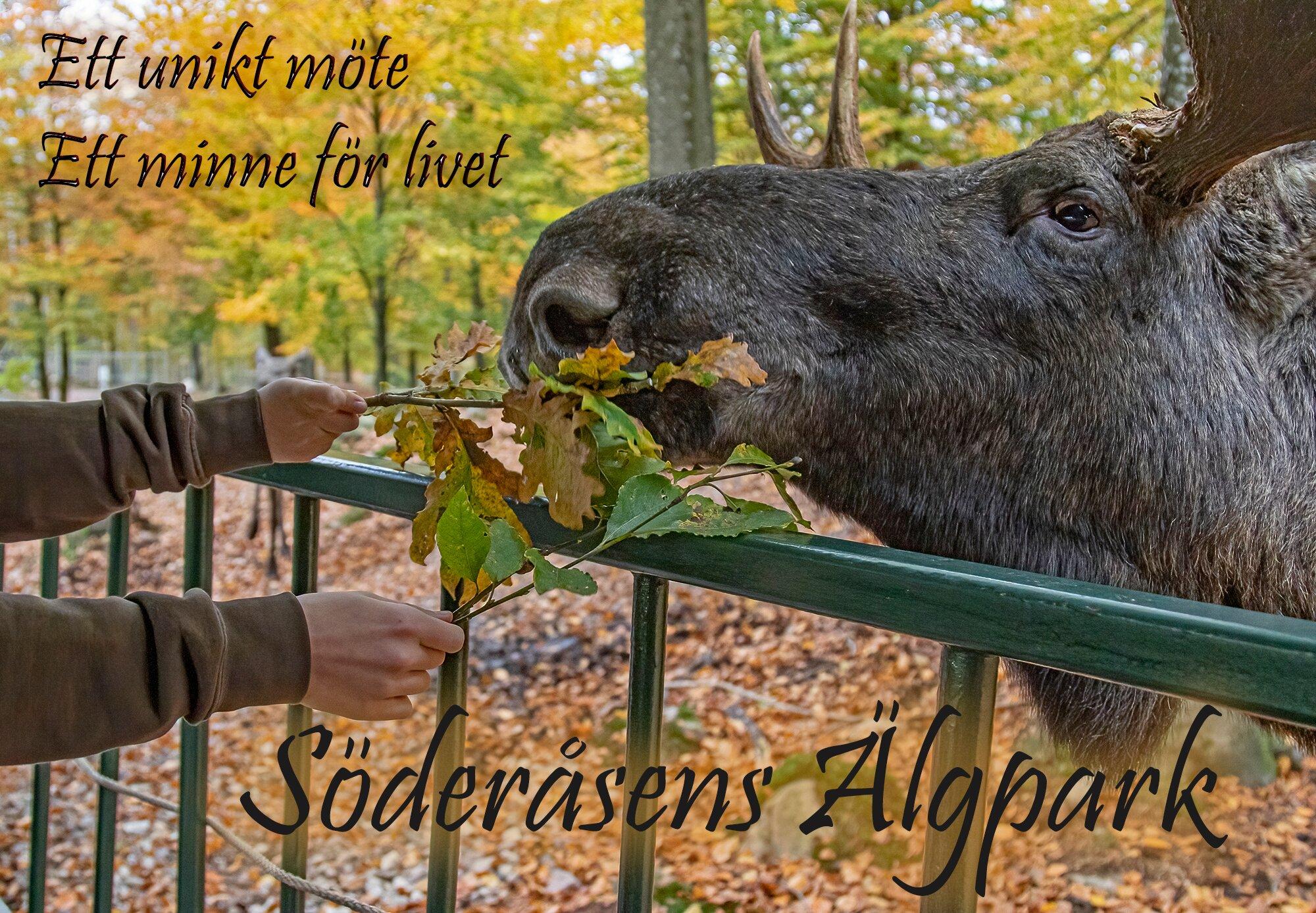 Soderasens Algpark (moosepark)