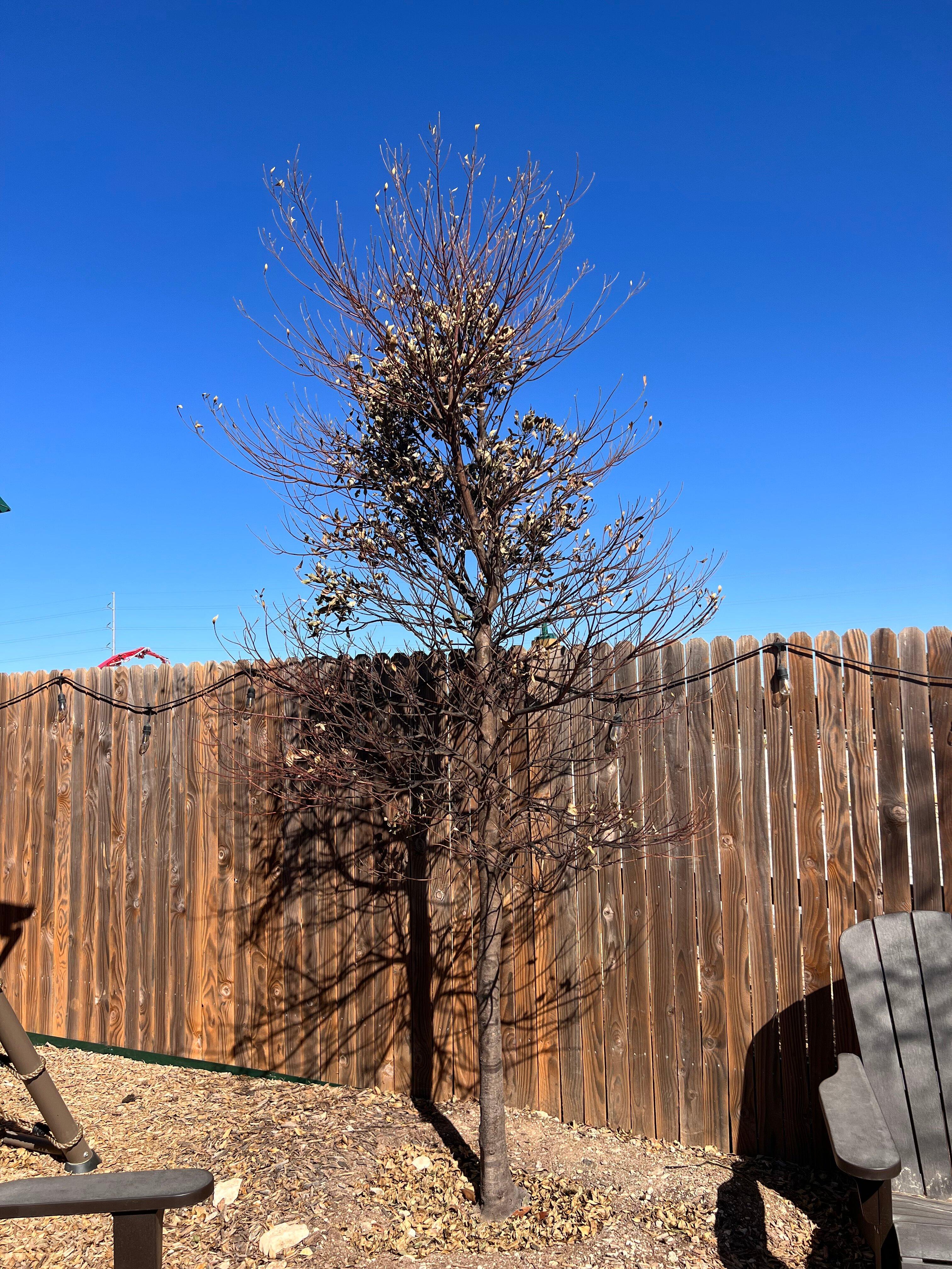 Photo by farraht2022