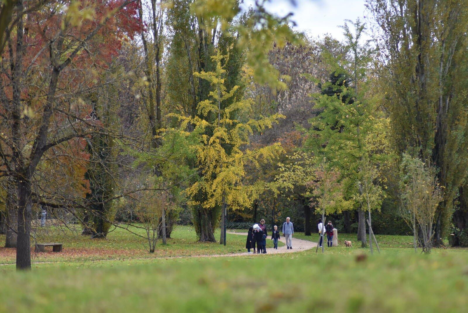 Animations Ludicaches