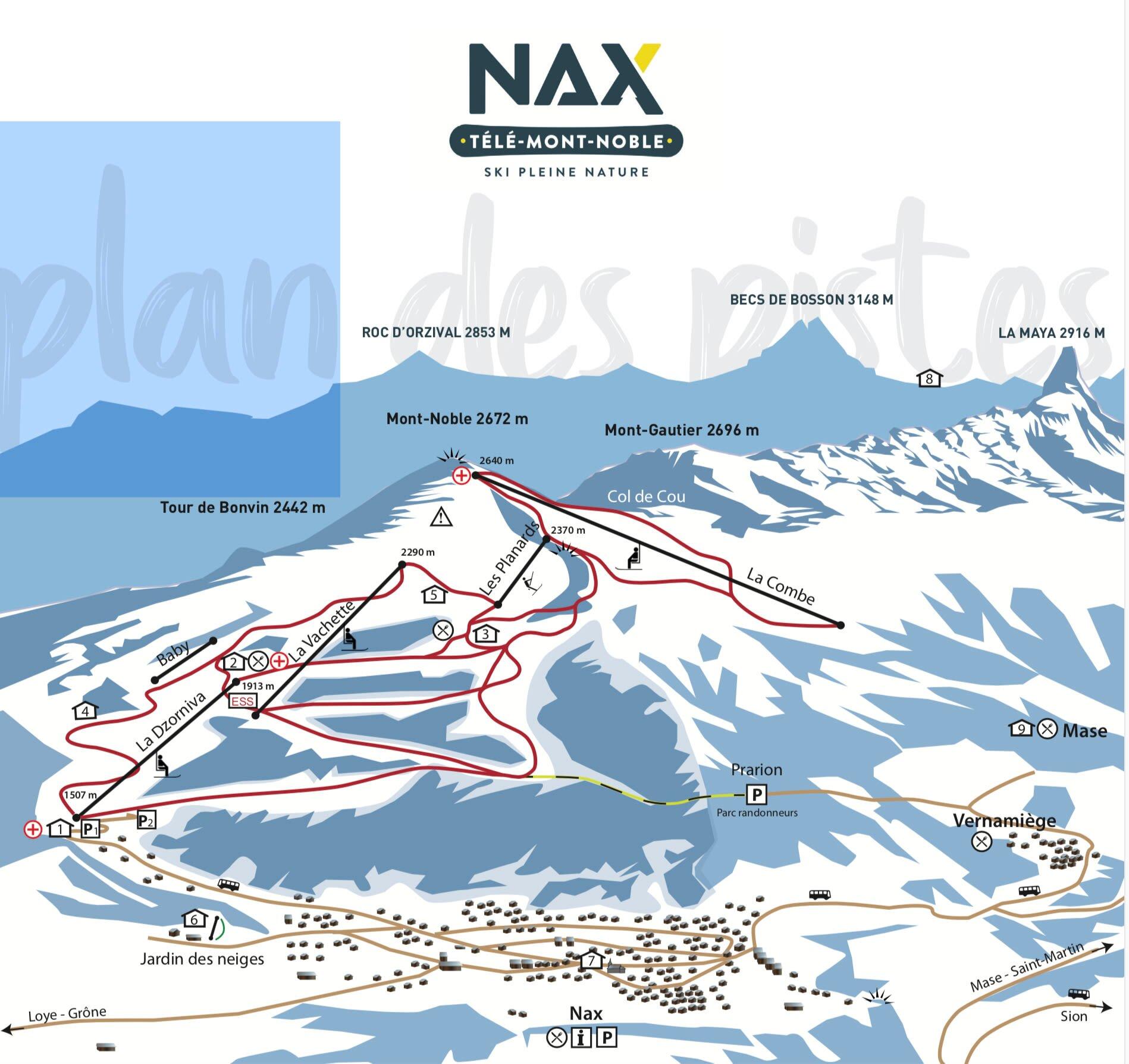Swiss Ski School Nax Mont-noble