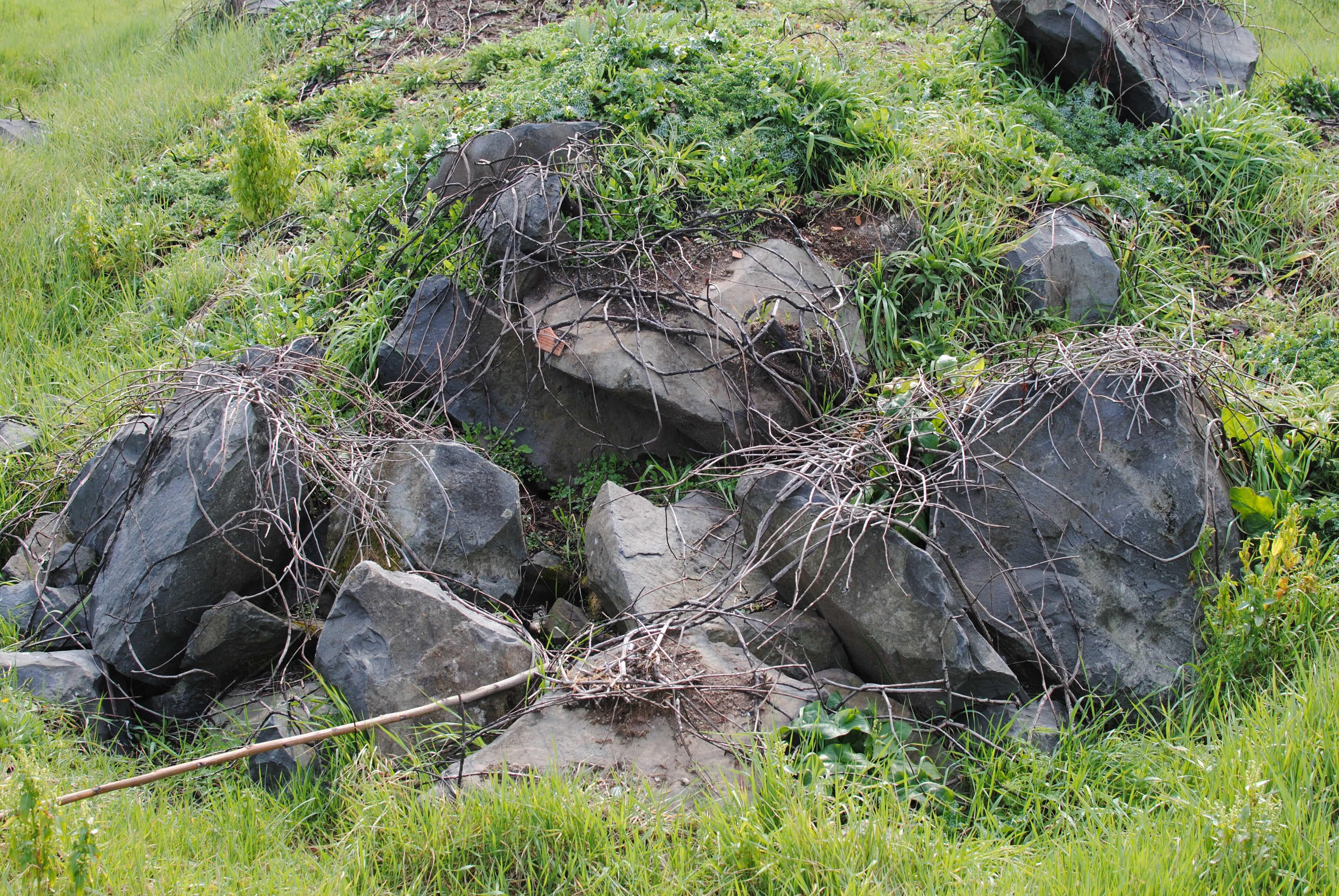 Pratone Di Torre Spaccata