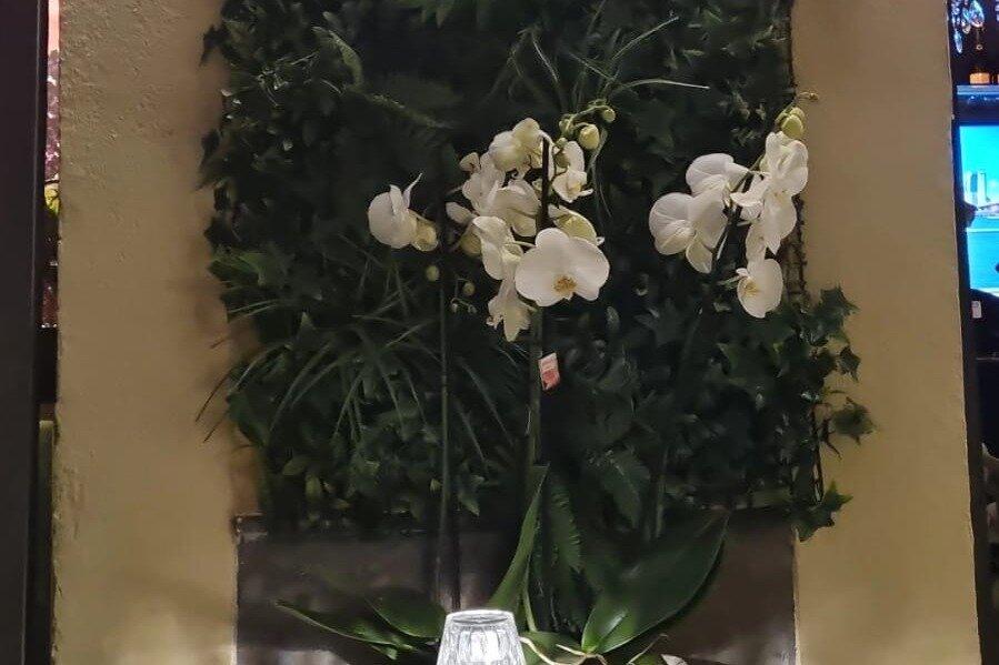 Honey Rum la drinkeria