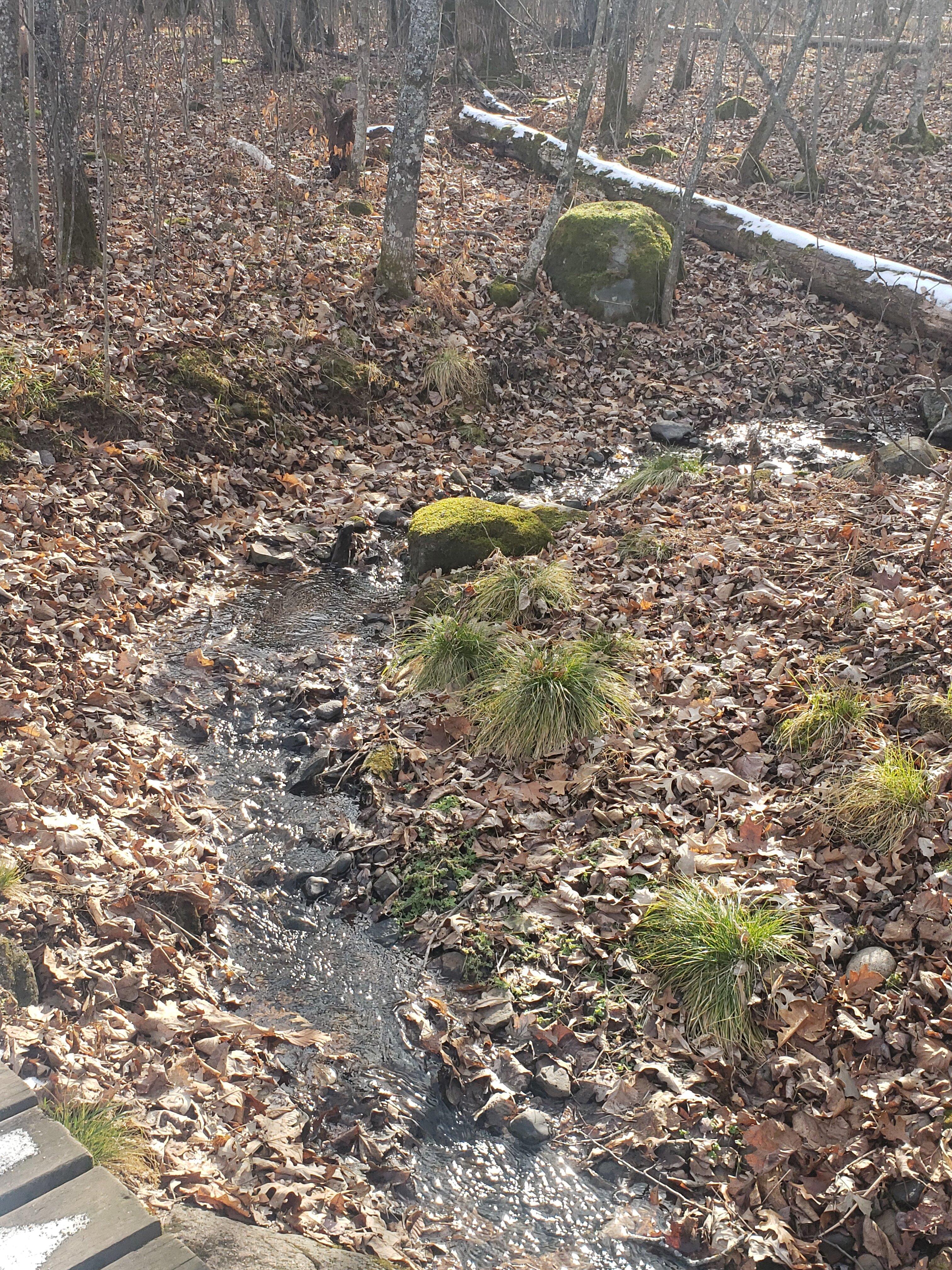 Governor Knowles State Forest