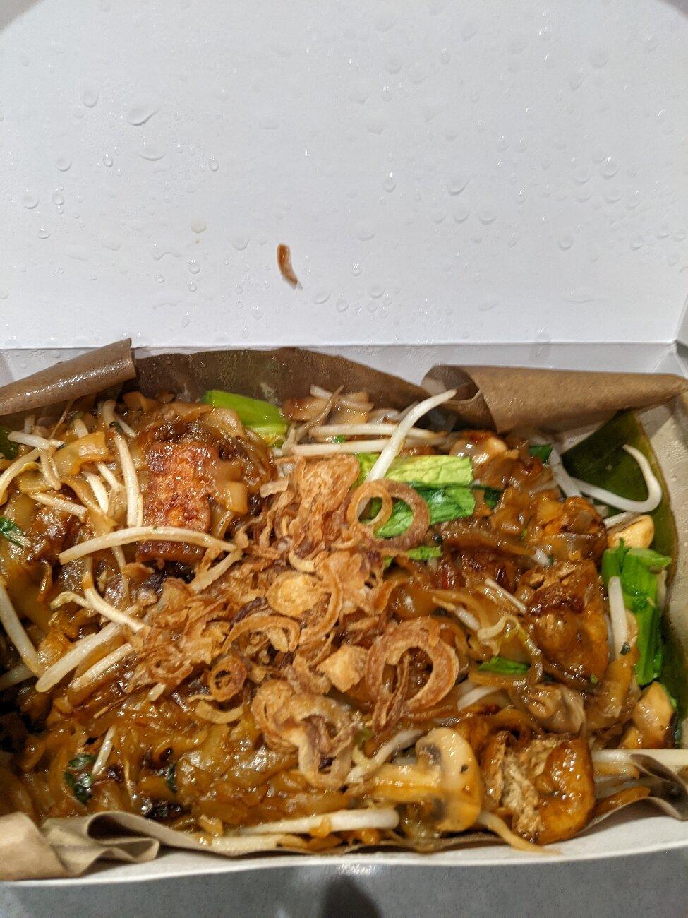 Photo by CaitlinanTravels