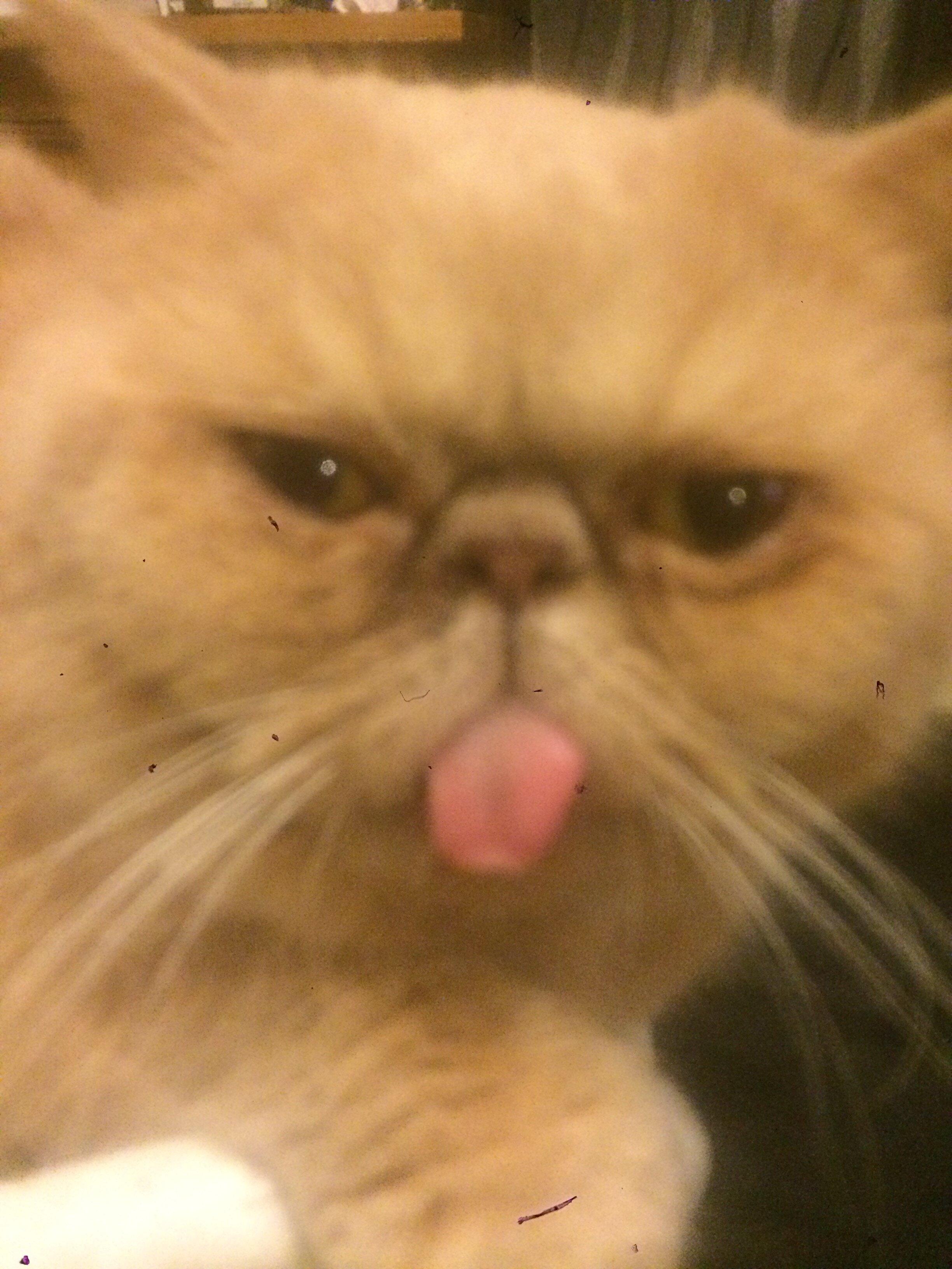 Photo by S5901RZcraigs