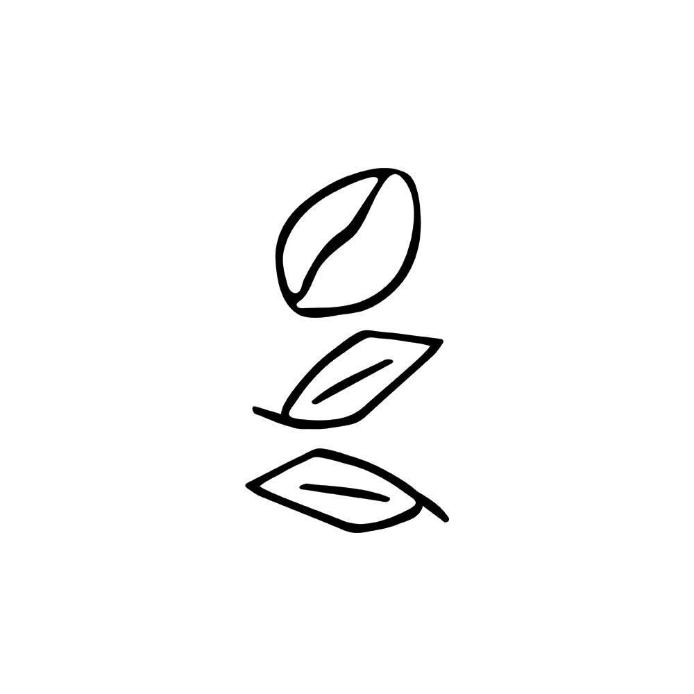 Bella Bean Coffee Roastery